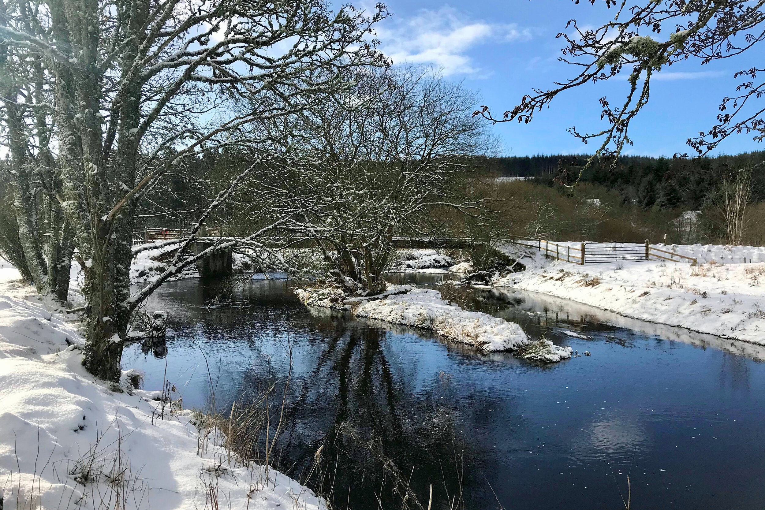 Border Forest Holiday Park