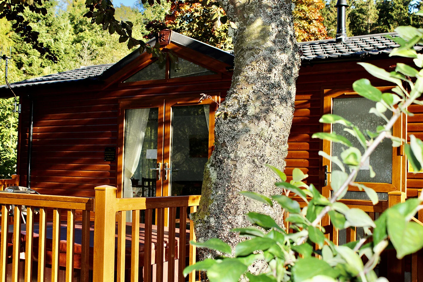 Little Owl Lodge — Border Forest Holiday Park