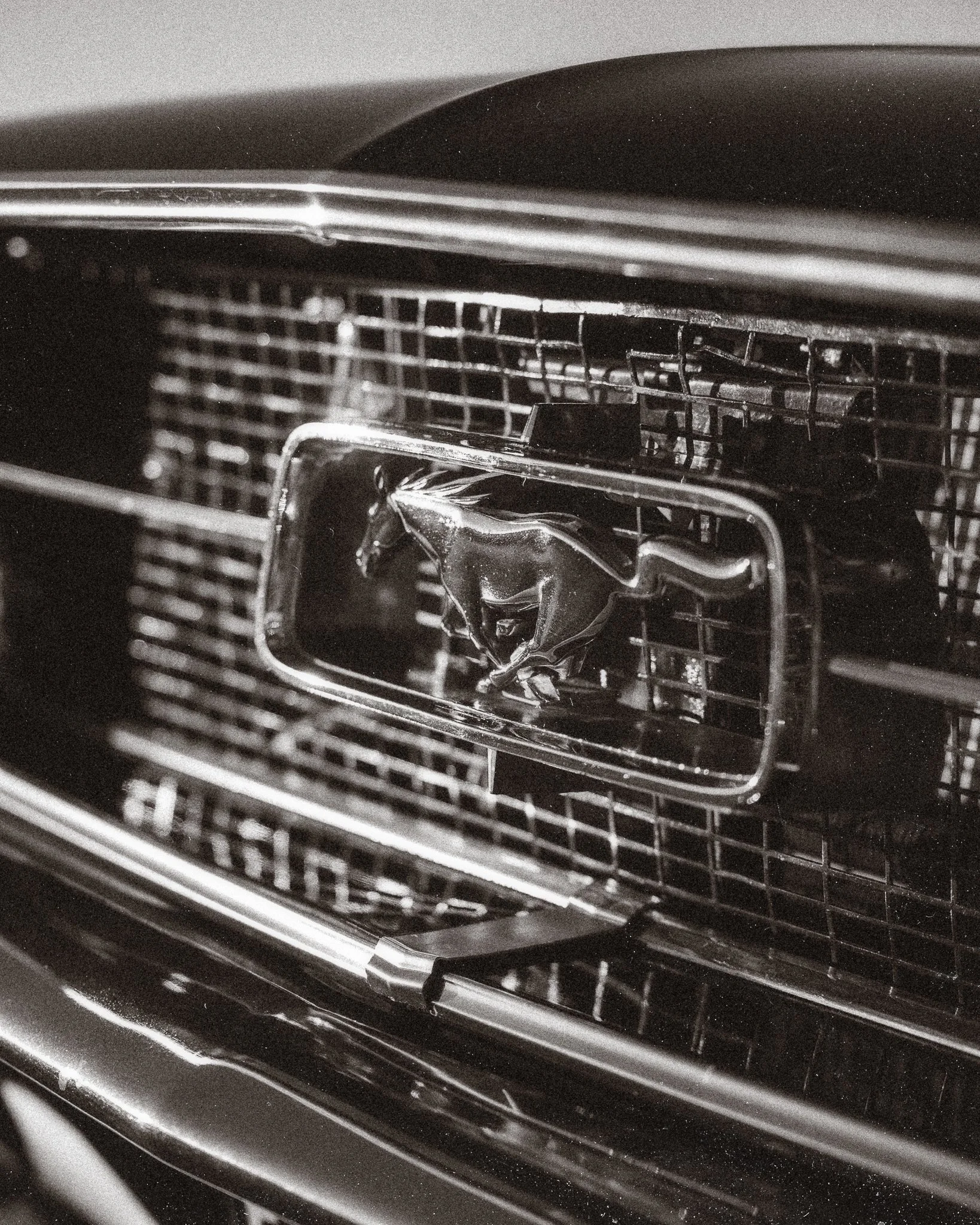 R6__7634-Edit.jpg