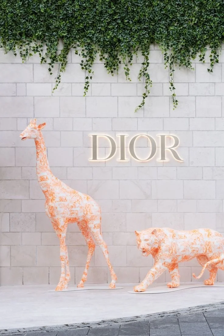 The 'Dioriviera' in Montenegro.jpeg