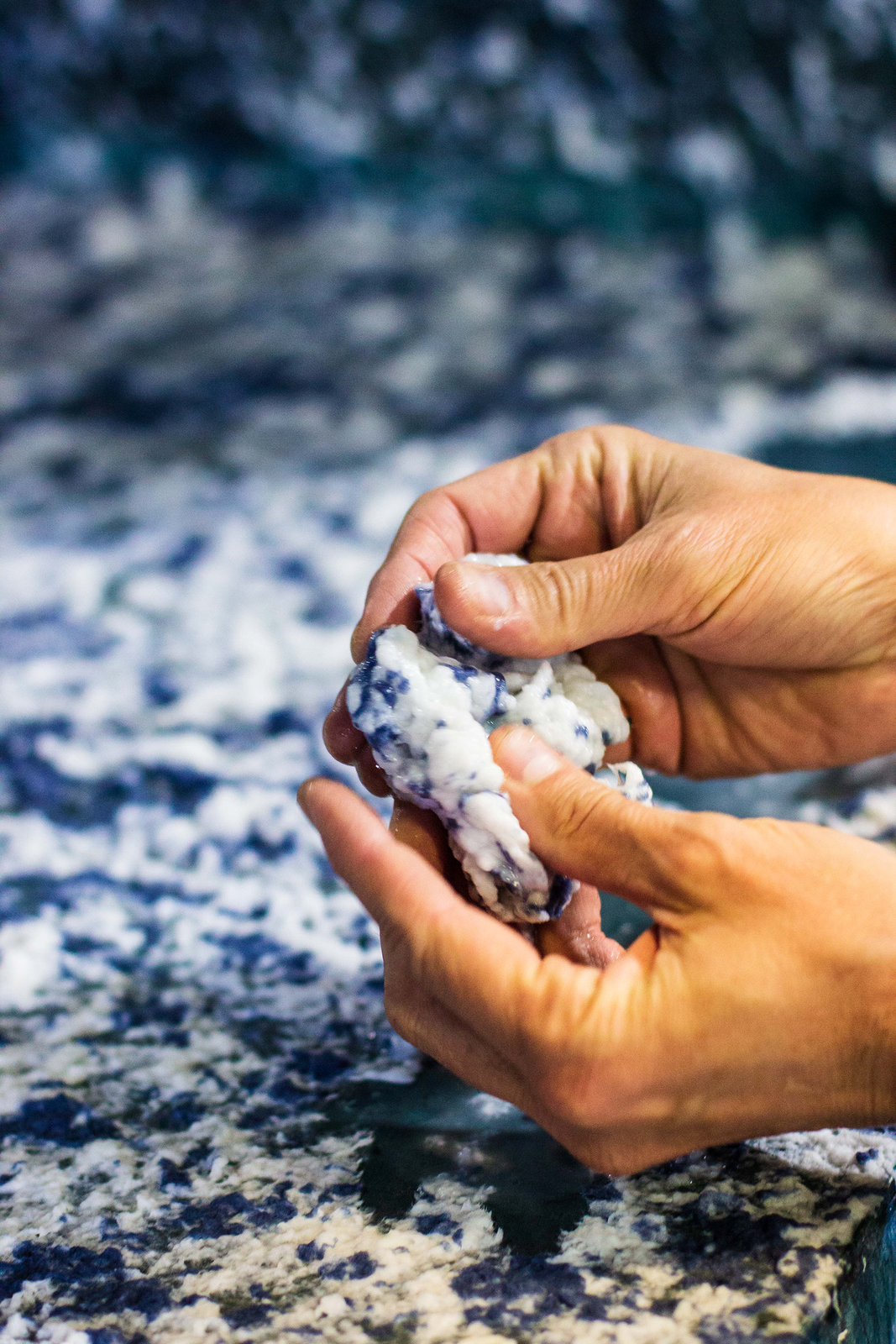 cotton fibers.png