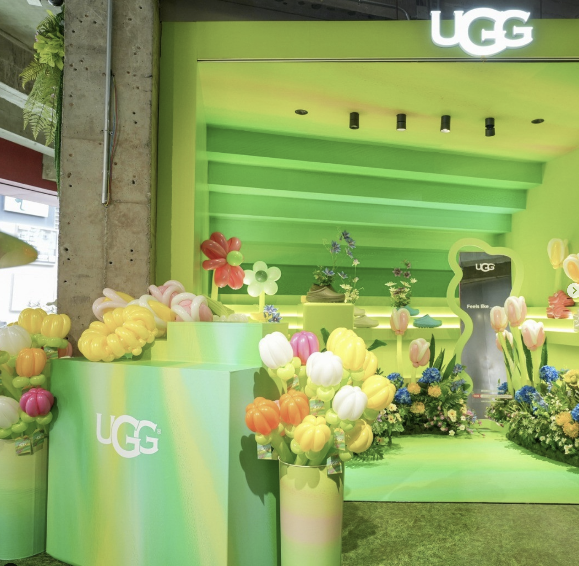 Screen Shot 2023-07-26 at 2.47.45 pm.png