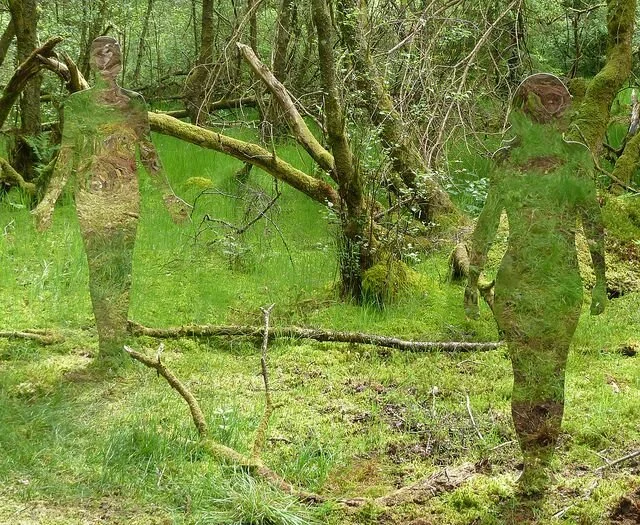 reflective art in the wood.jpeg