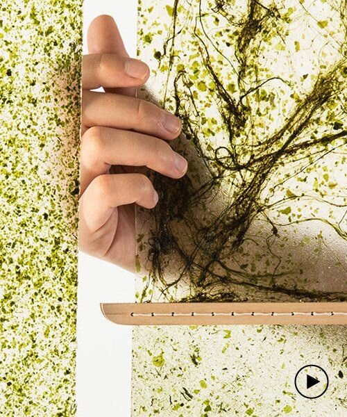 SEAmpathy by daniel elkayam explores using algae to create vegan materials.jpeg