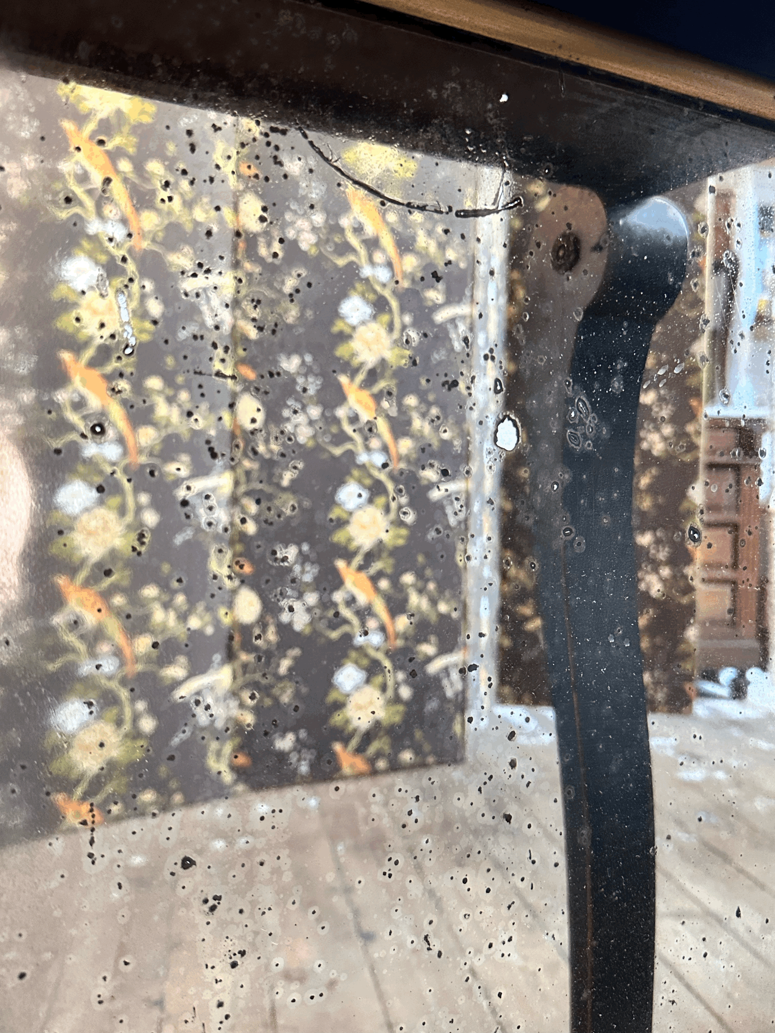 tempImageWCffh1.gif