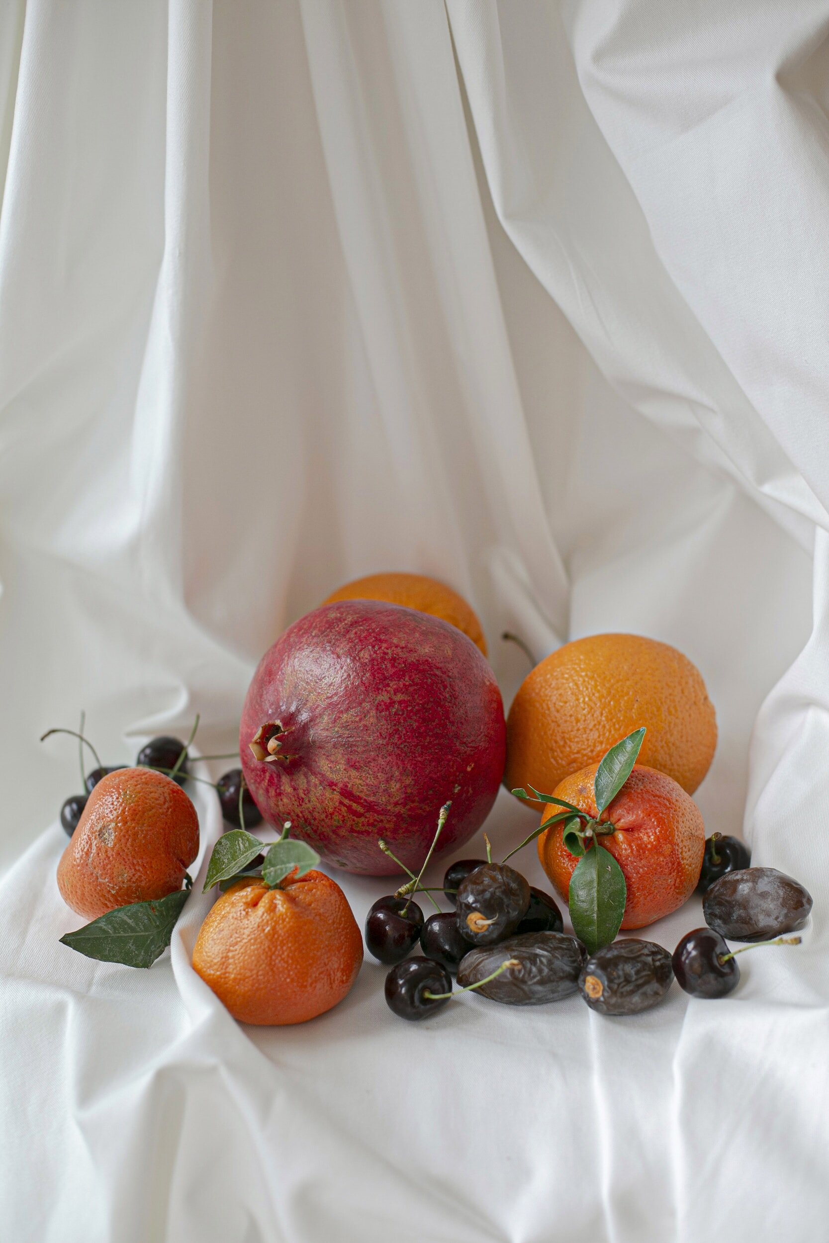 Still Life Tribute