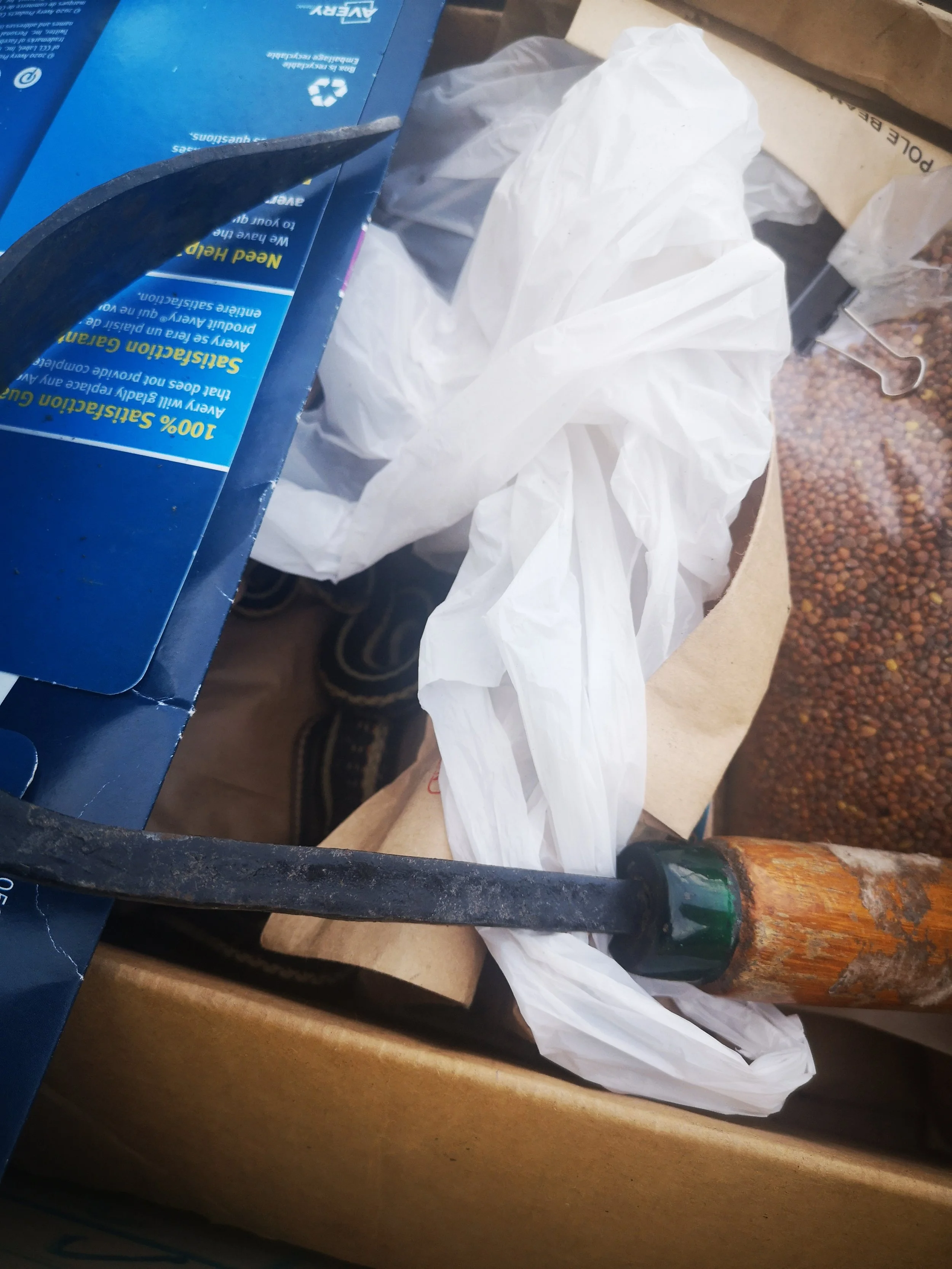  Yes - that is a snake coiled up in my seed box. 