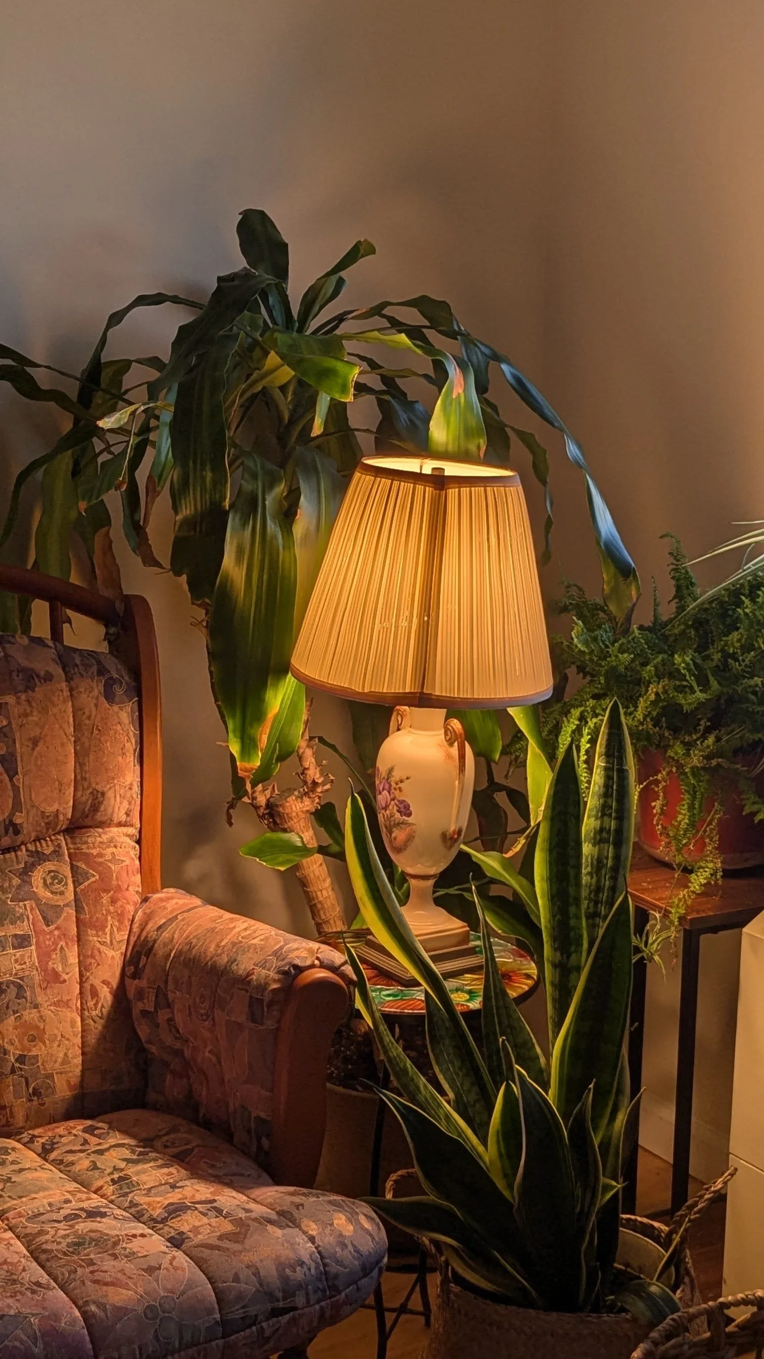 A warmlt lit corner with houseplants surrounding a vintage lamp and patterned armchair.