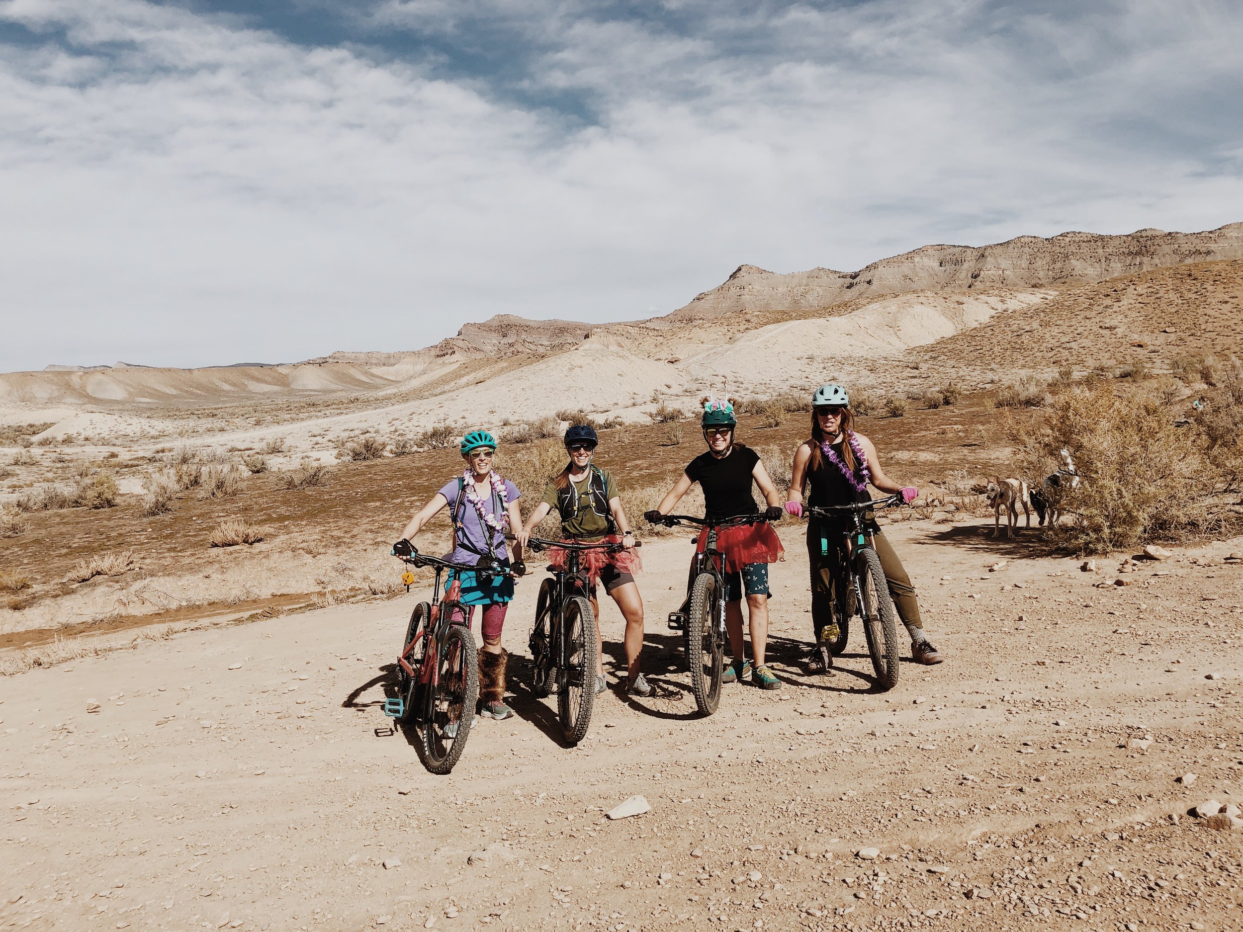 mountain biking trips