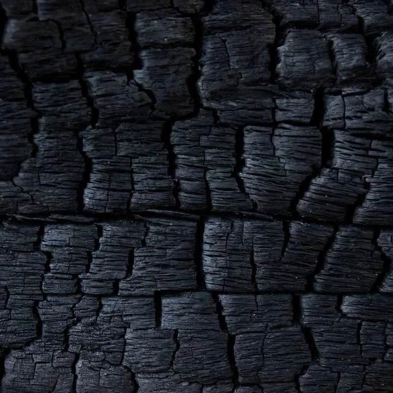 scorched wood