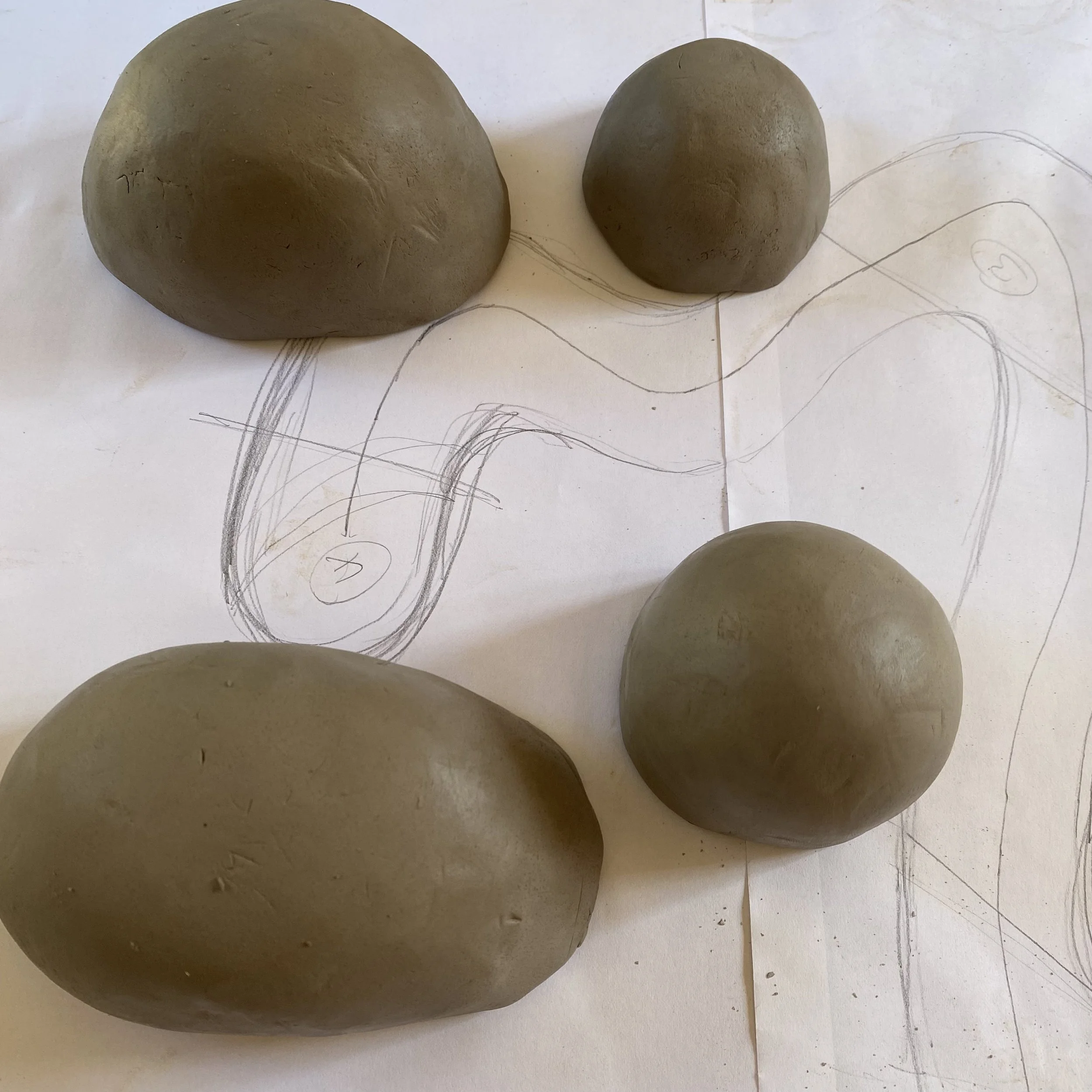 exploratory form No. 8