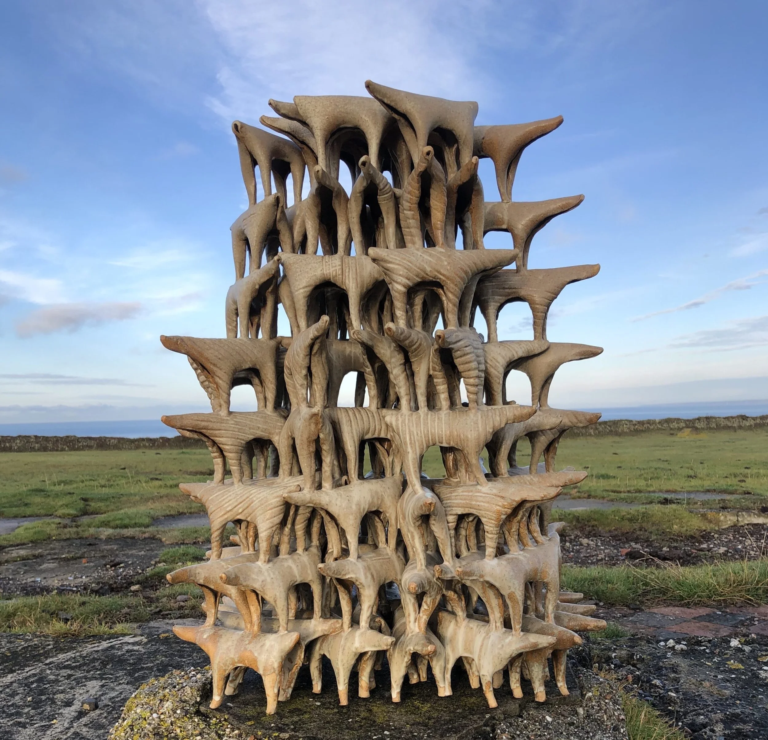 Susan Halls at the BCB