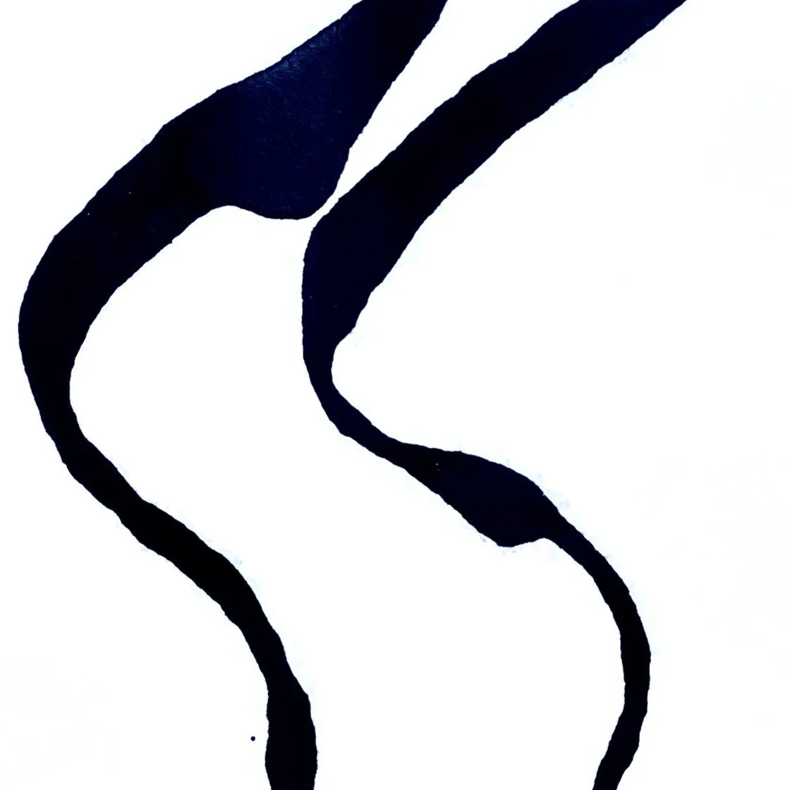 IMG_1813 cropped.JPEG