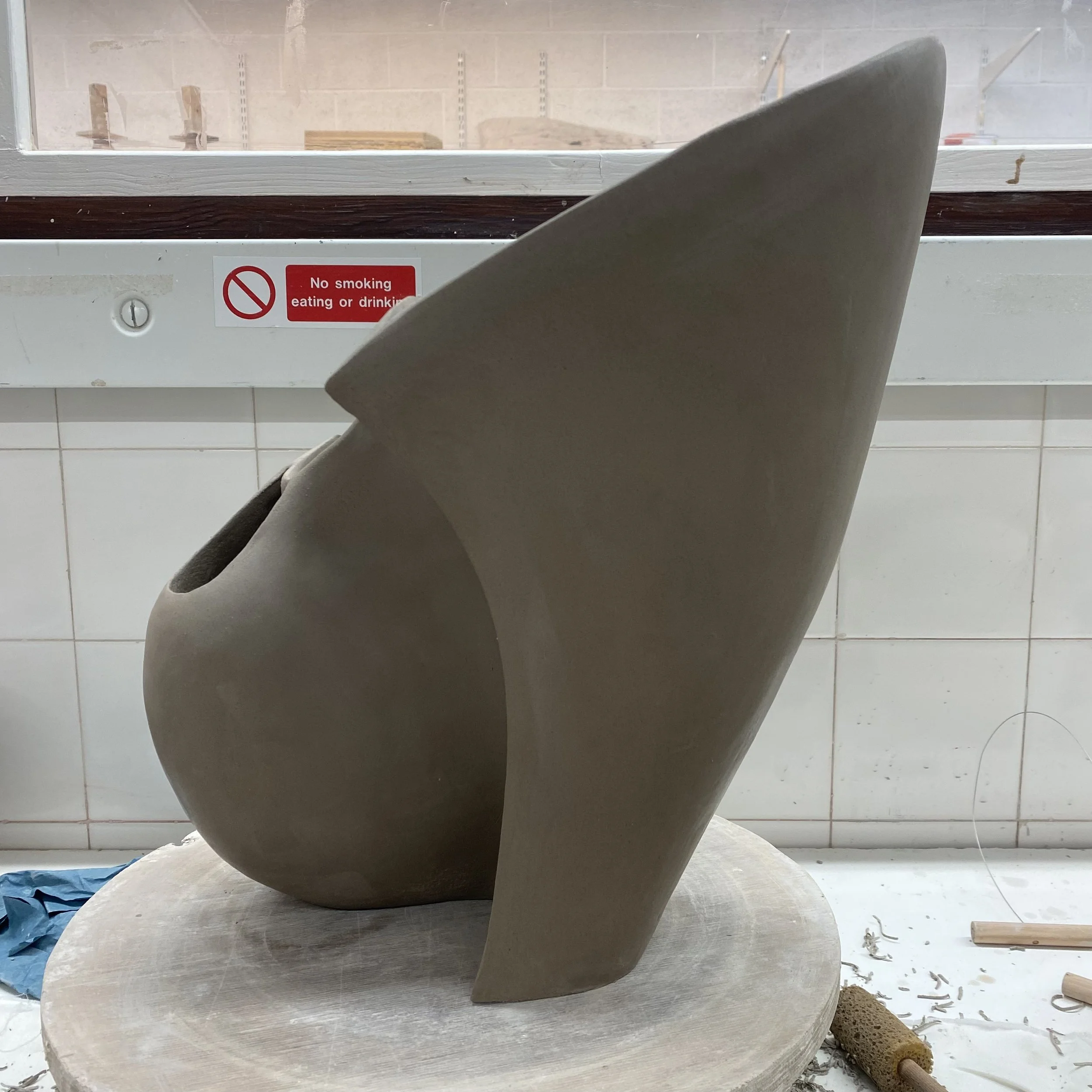 large exploratory form