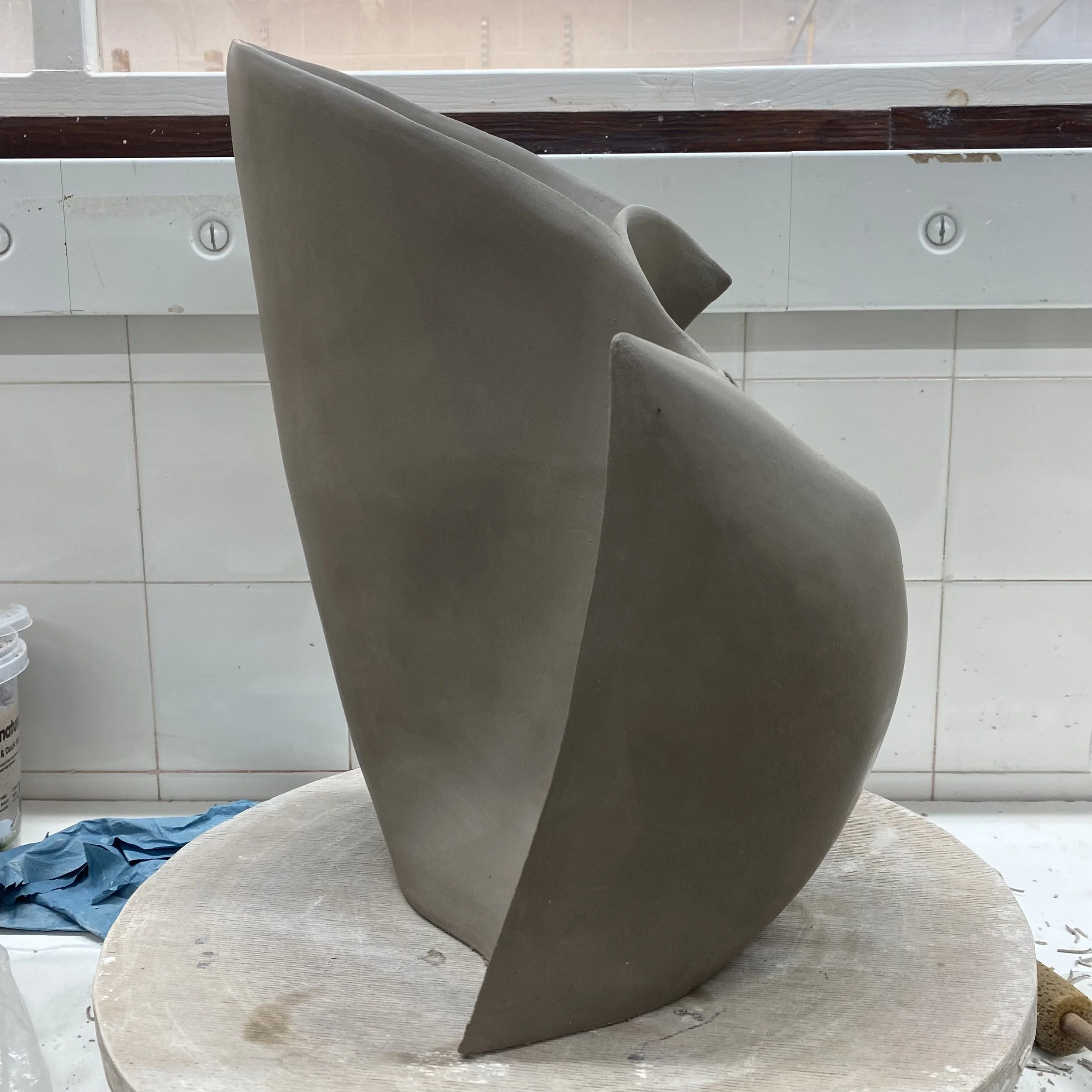 large exploratory form