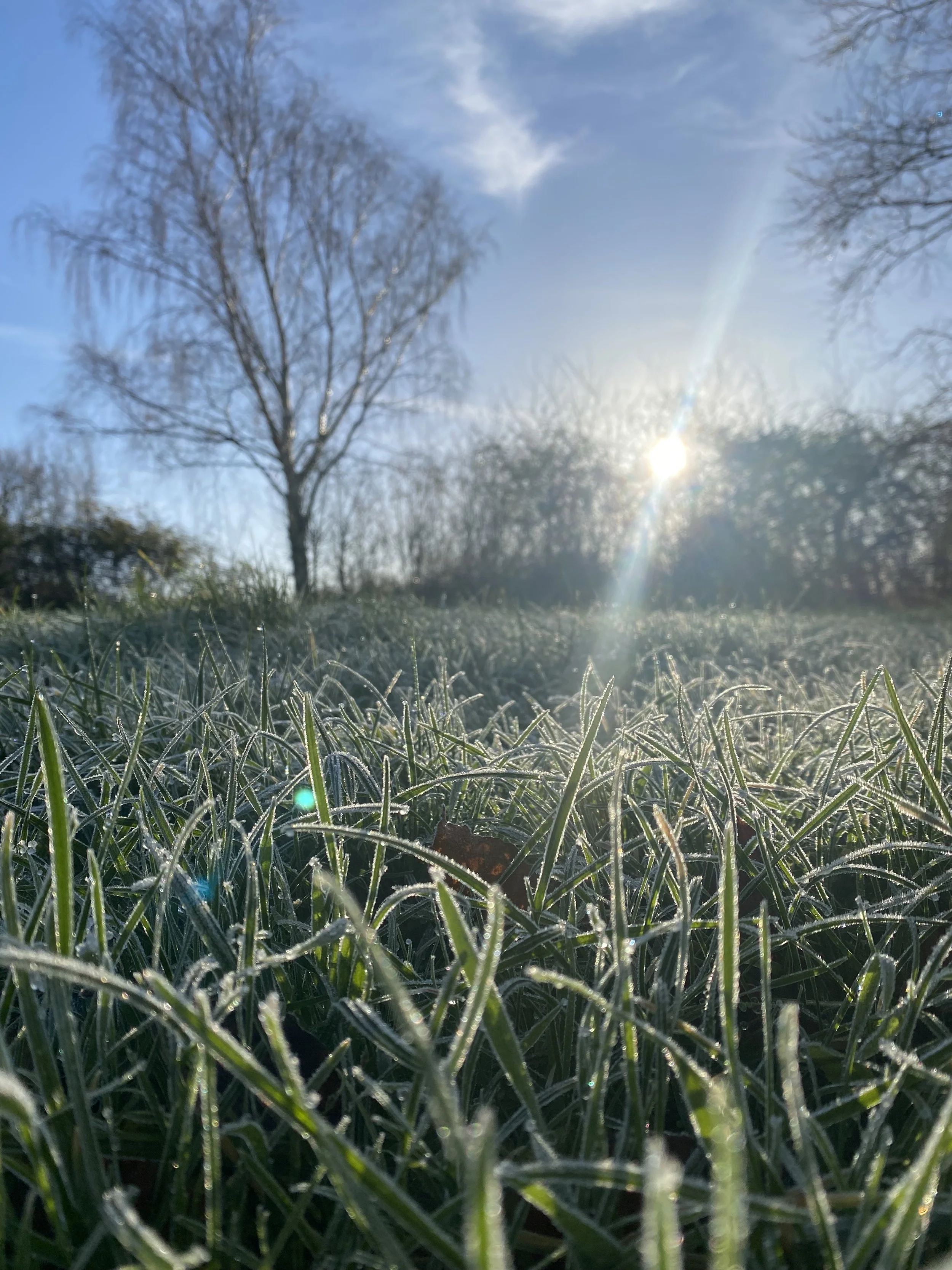 frosty morning at Sawbridge