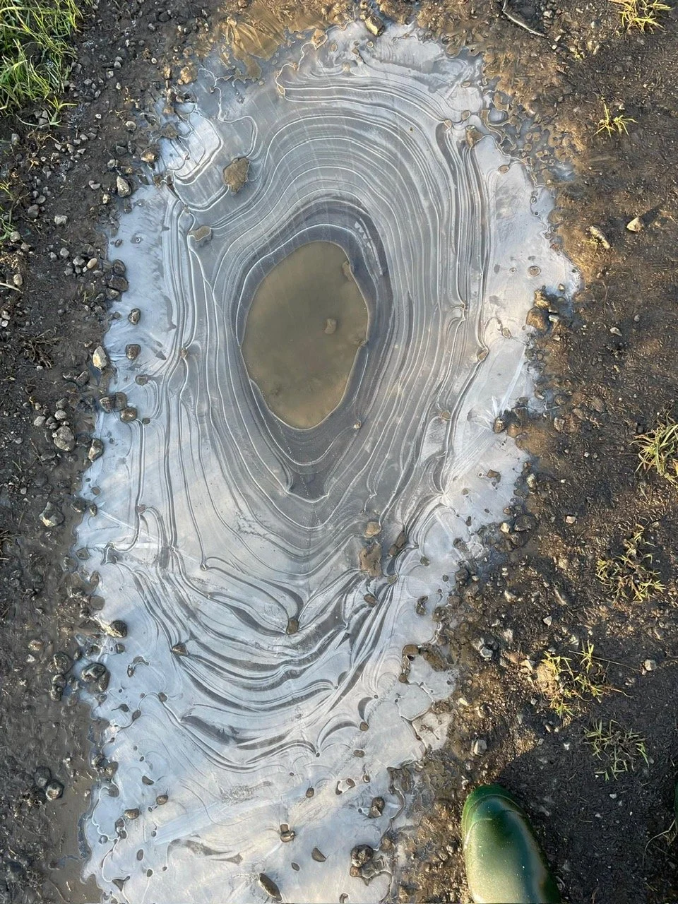 Frozen puddles
