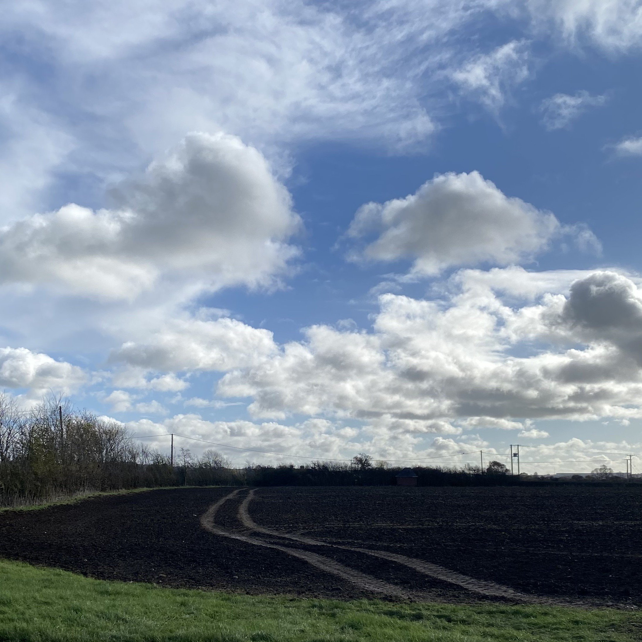 marks in the landscape