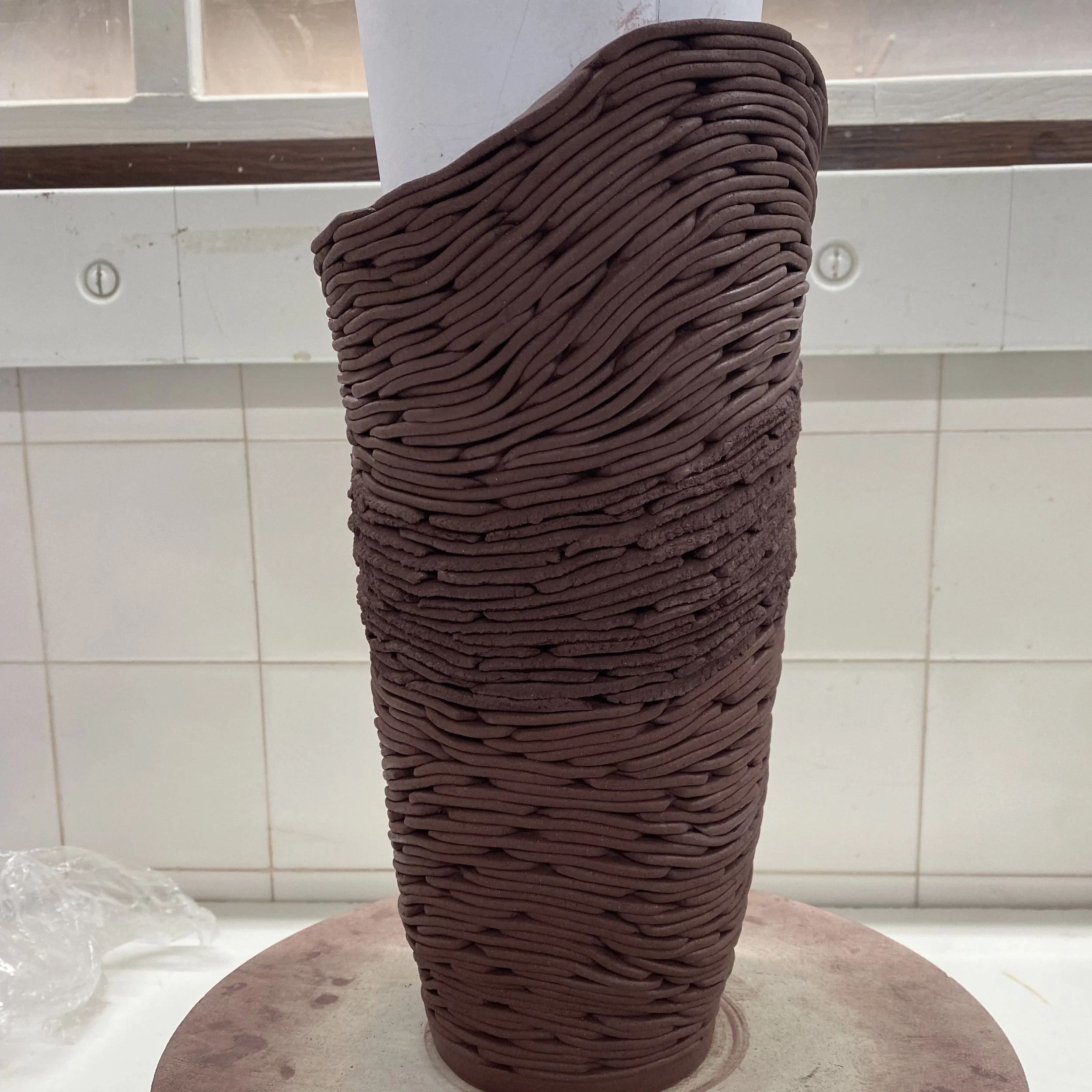 Form no.28 still growing