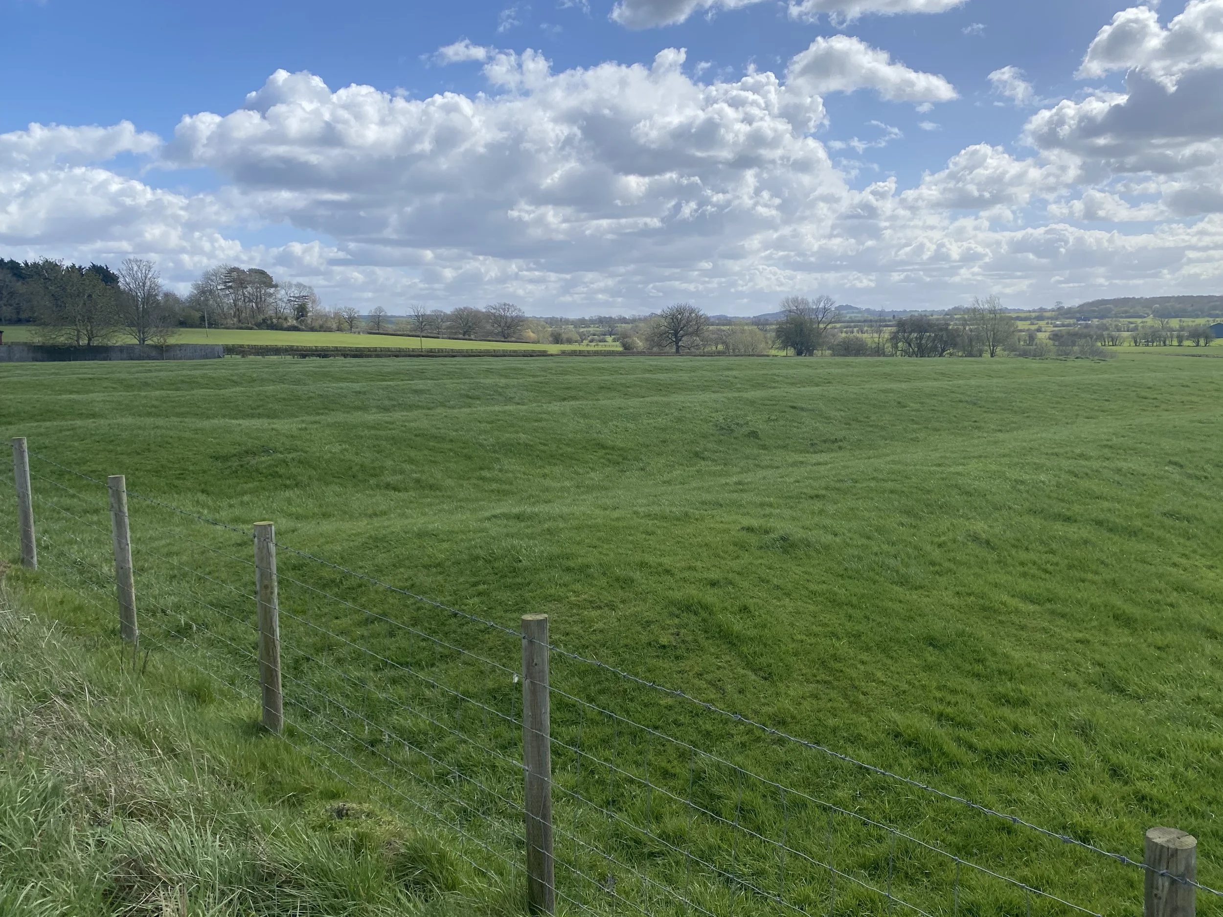 Ridge &amp; Furrow in Sawbridge