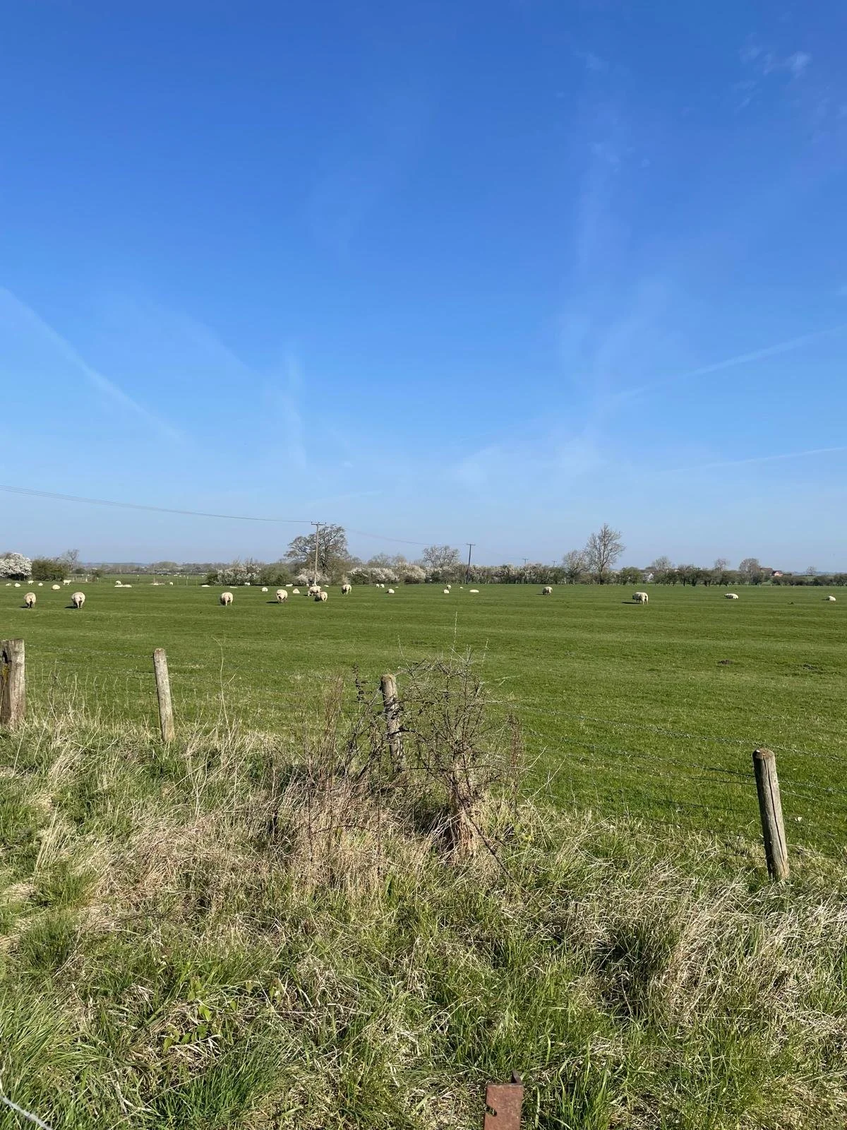 Ridge &amp; Furrow in Sawbridge