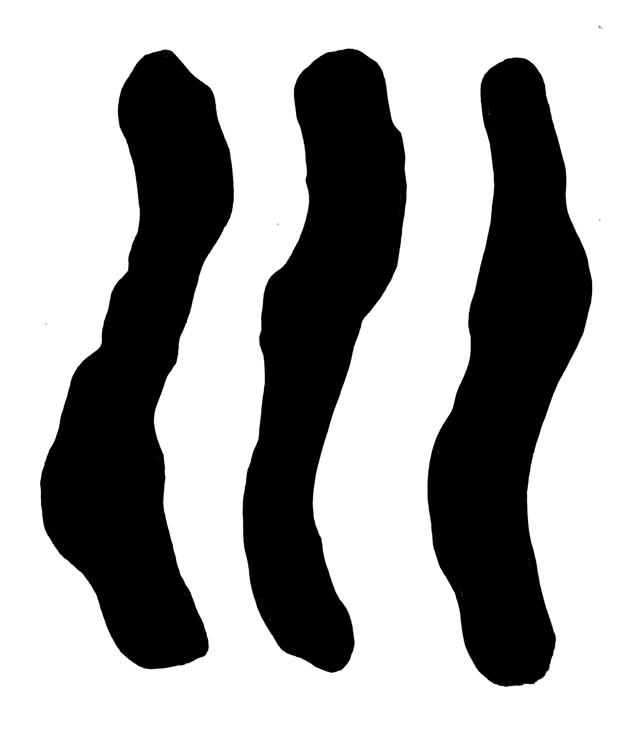 sketchbook ridge &amp; furrow