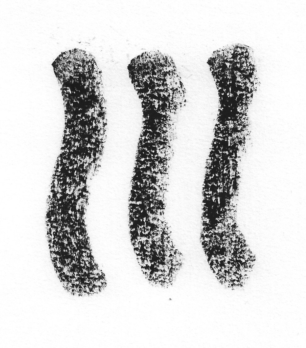 sketchbook ridge &amp; furrow