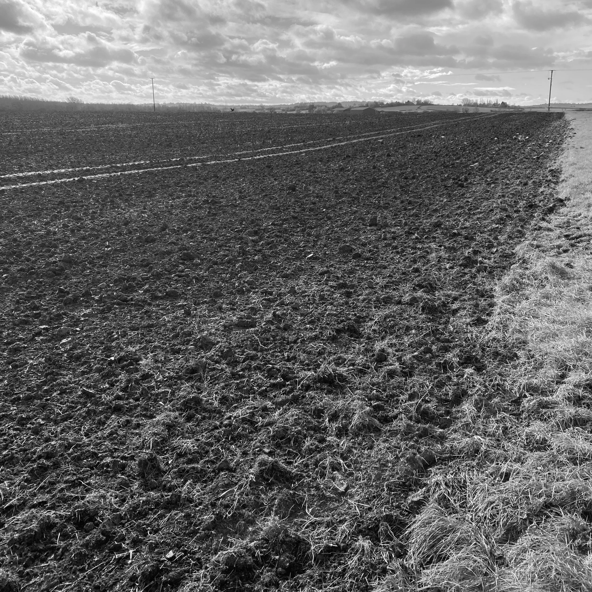 Winter Furrows