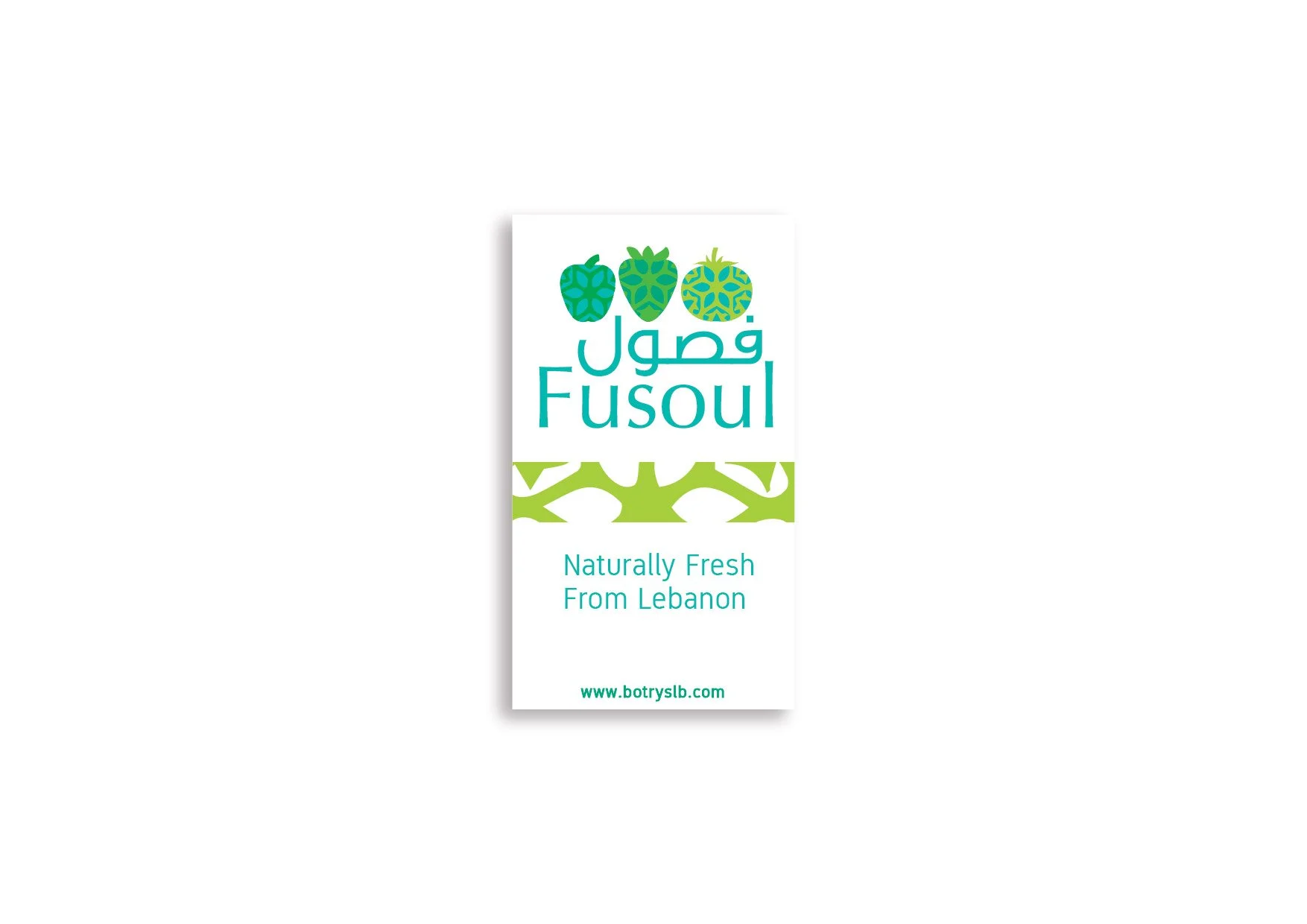 Fusoul | Name | Logo and Identity Creation