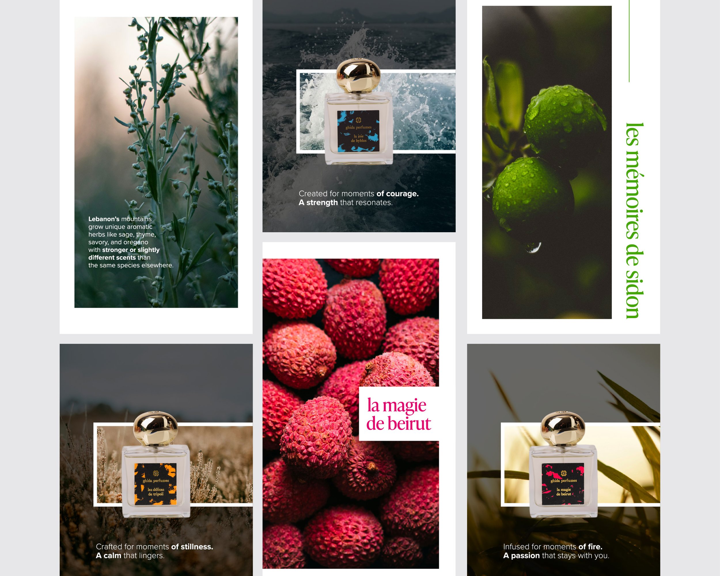 Fragrance Brand | Animations and Social Media Posts