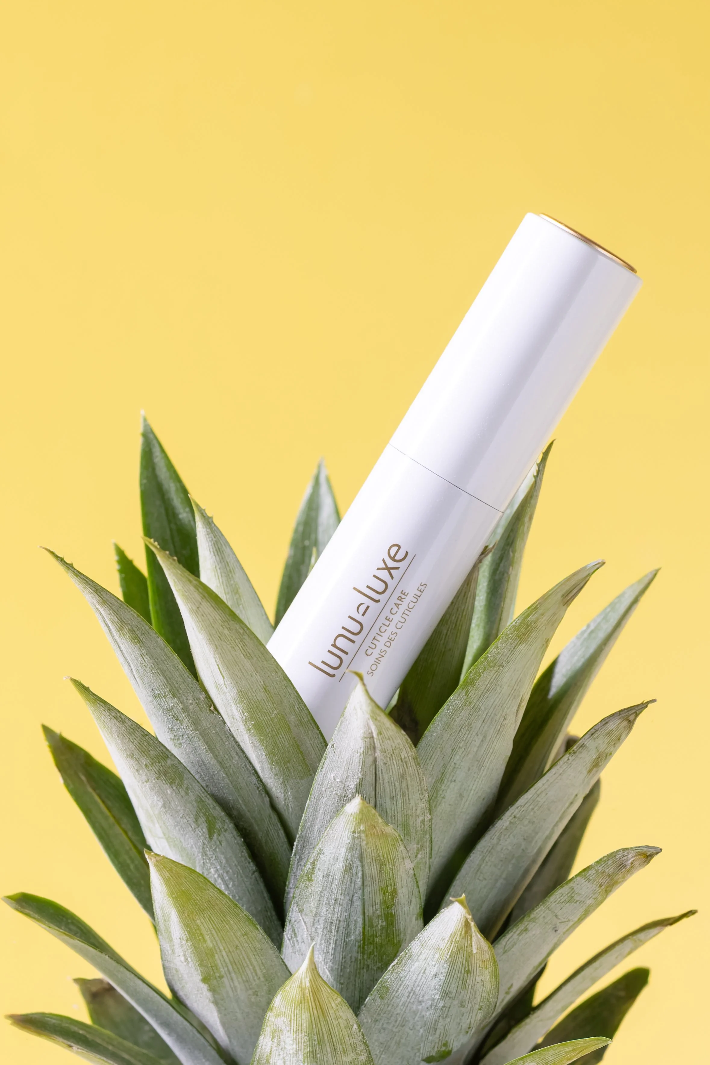 Brand and product photography for small to mid-sized businesses in London, Ontario and across Canada, creating intentional, strategic visuals that support marketing, storytelling, and sales growth for modern brands.