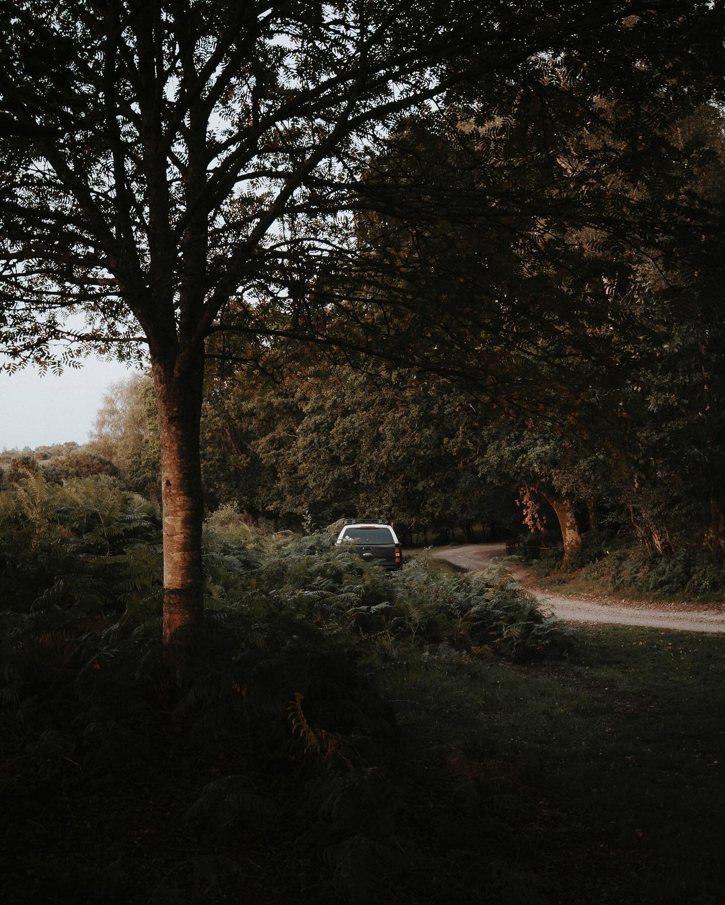 Tucked away deep in The New Forest yesterday evening as I chased a dramatic sunset with the toys 🌅