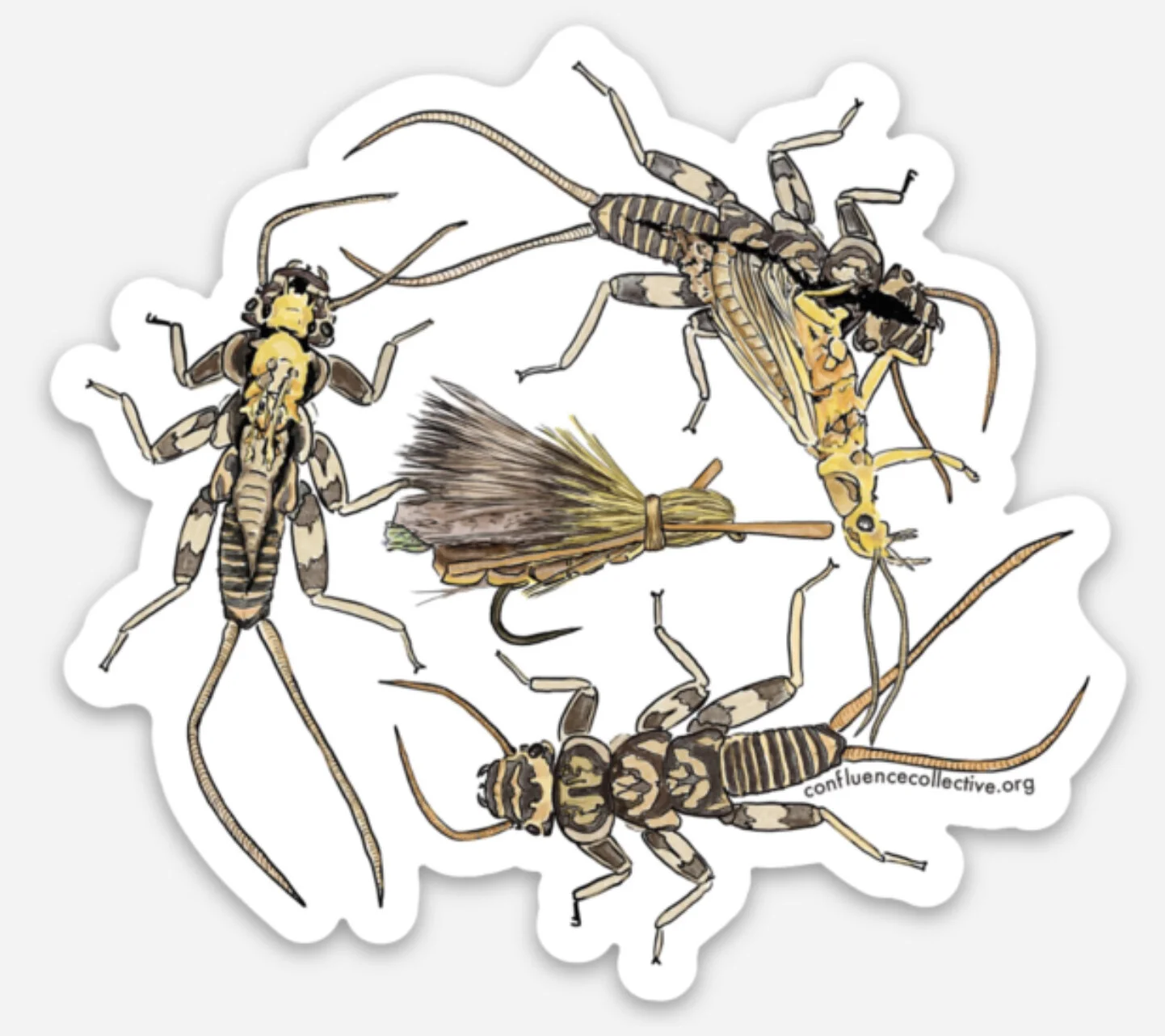 Match the Hatch: Stonefly Sticker — CONFLUENCE COLLECTIVE