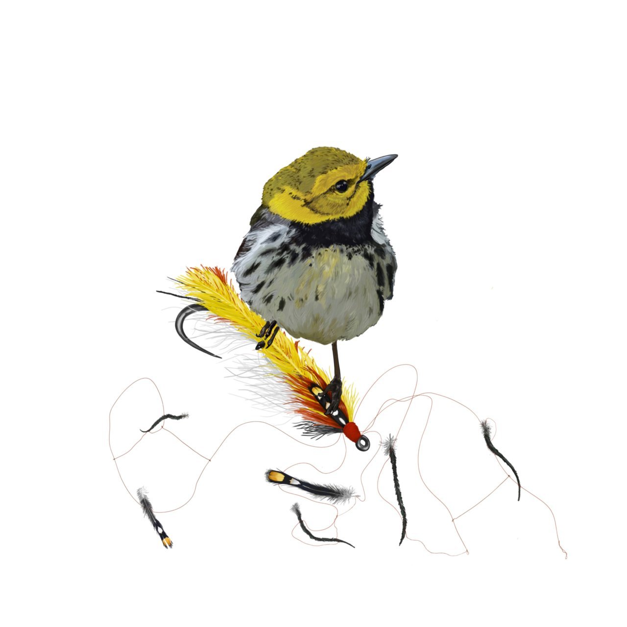 blackthroatgreen_print.jpeg