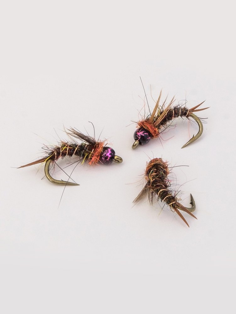 NONBINARY_CADDIS.jpg