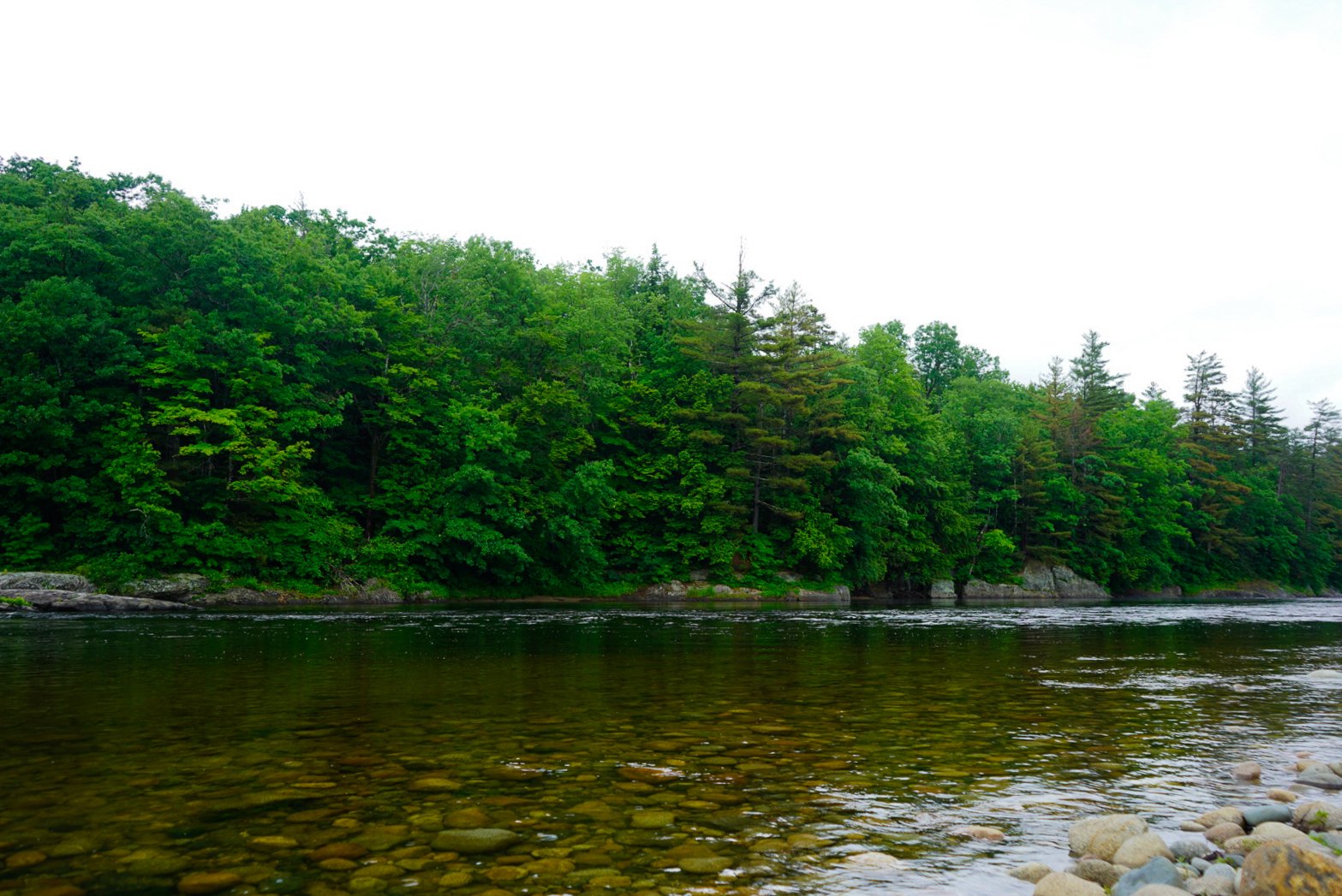_DSC6792.jpg