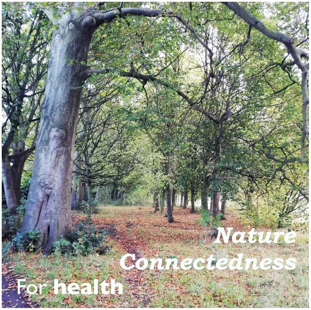 Getting out and connecting with nature is something we all know is good for us. But why?⠀⠀⠀⠀⠀⠀⠀⠀⠀
⠀⠀⠀⠀⠀⠀⠀⠀⠀
Lots of studies are showing that connecting with nature helps calm our mood, promotes positivity and mental clarity. People connecting with na