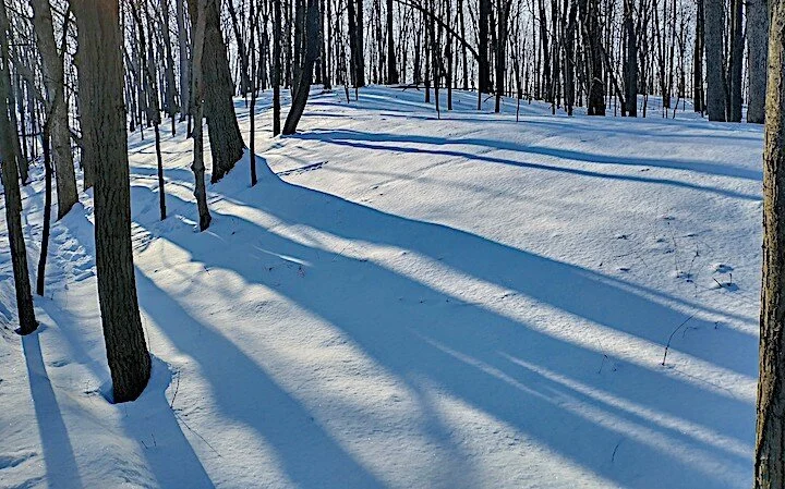 Long Shadows, Cherry Hill