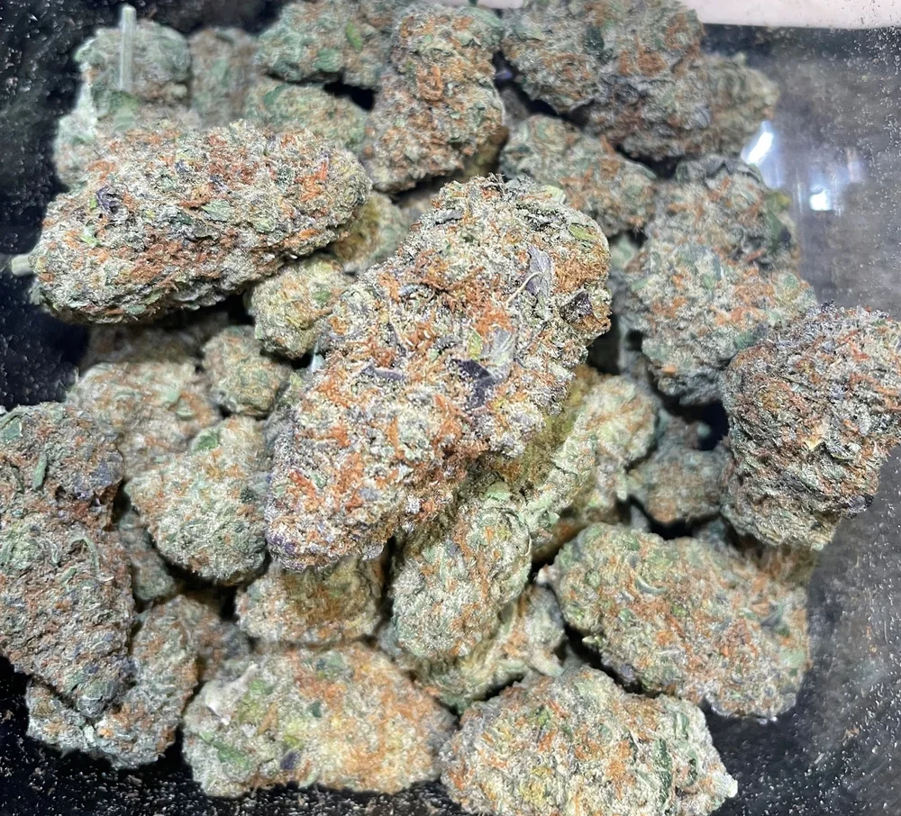 Clone Strain: Pink Runtz — OKLAHOMA CLONE NURSERY