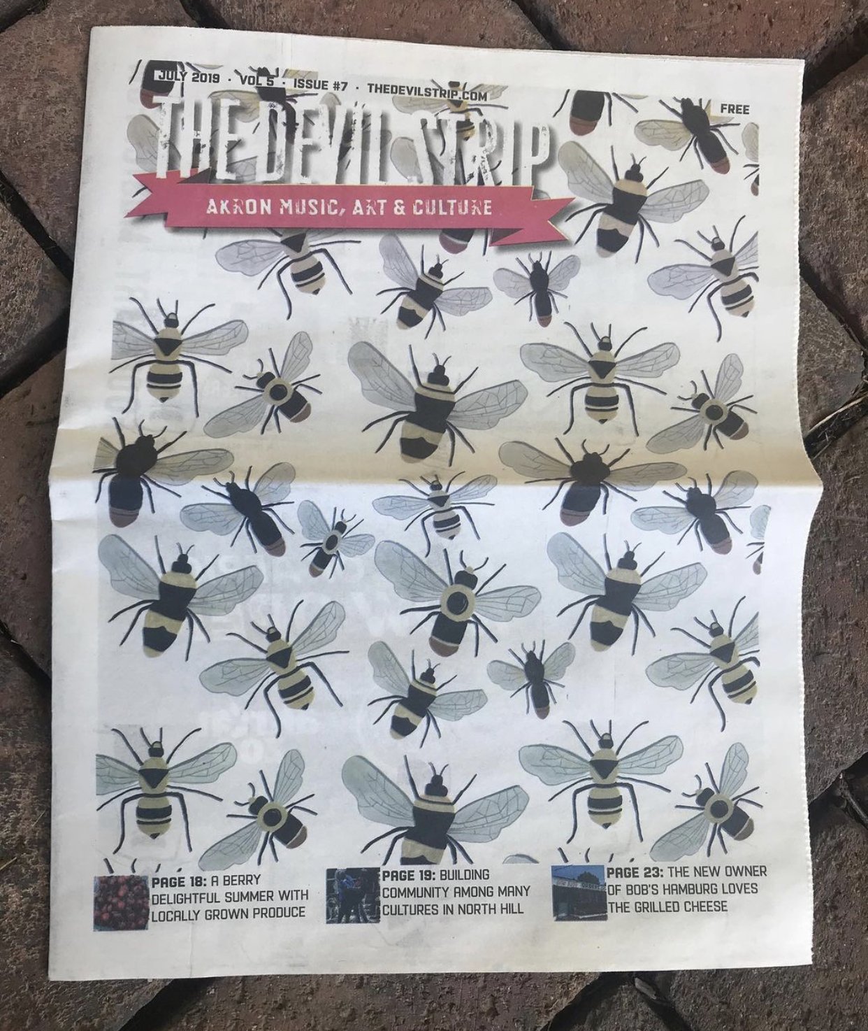 Devil Strip.jpg