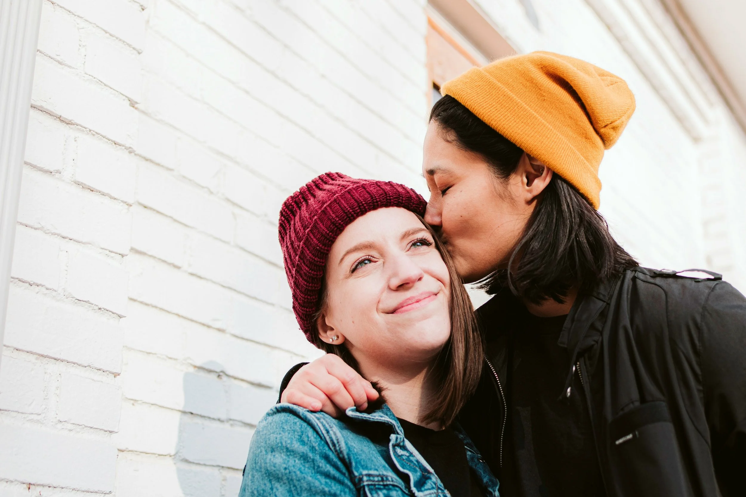 Developmental Model of Couples Therapy: Introductory Workshop