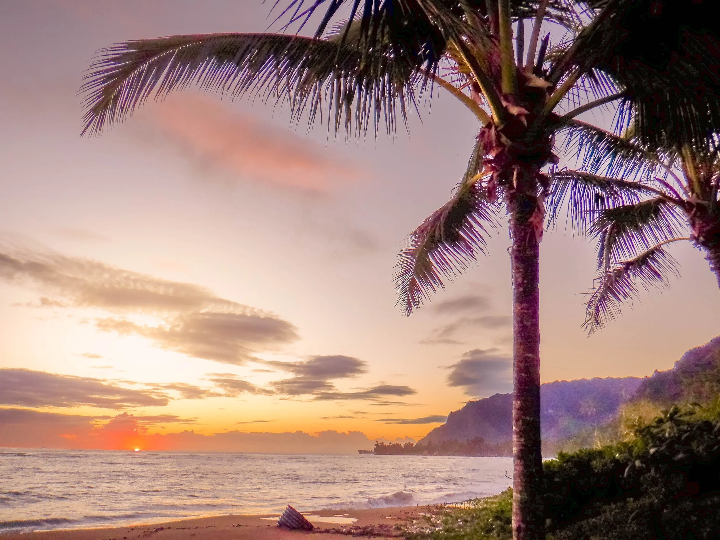  Foto zu Travel to Costa Rica with Downs & Towns 2024 — Downs & Towns 