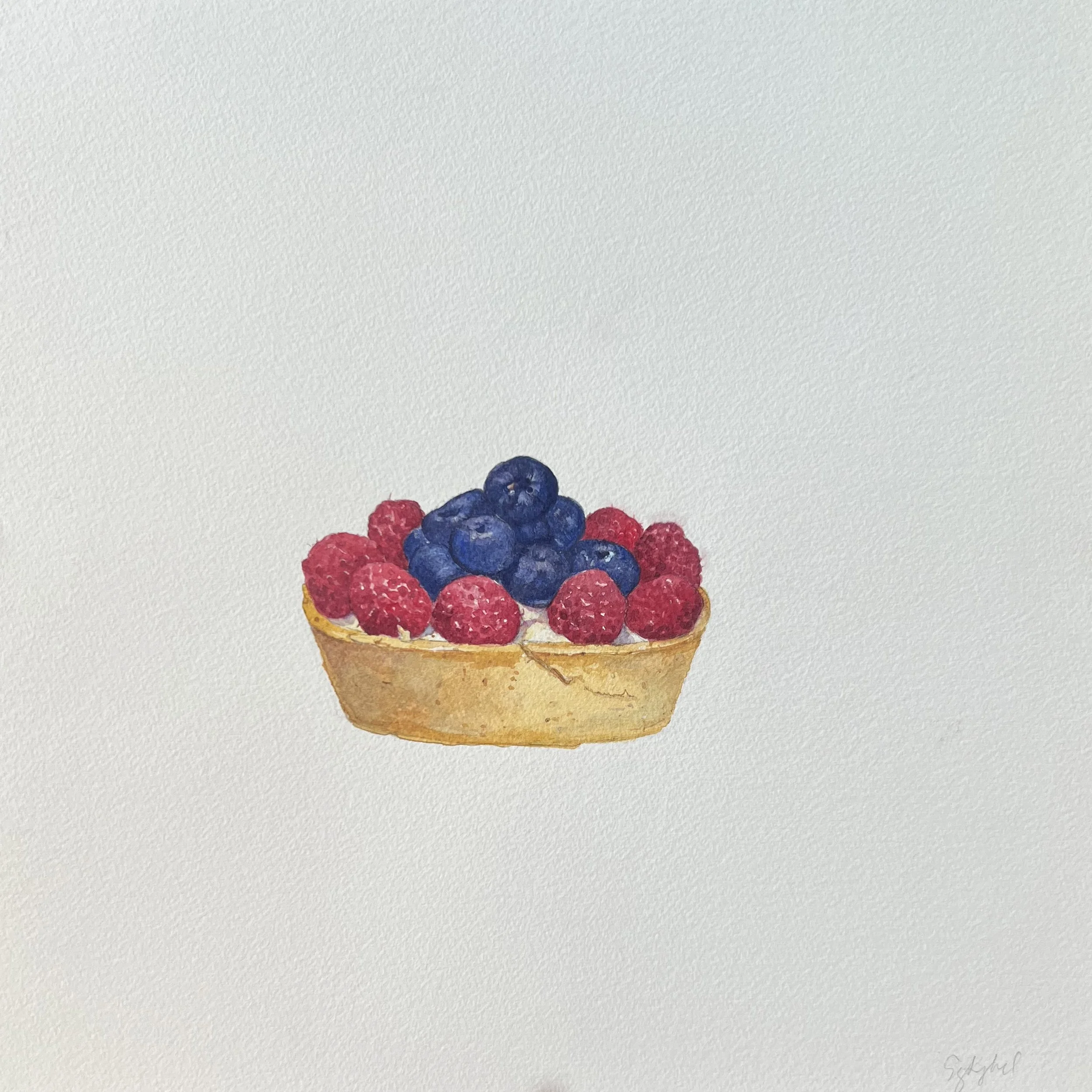 Study of a Fruit Tart, watercolor on arches paper, 12 x 12 in.