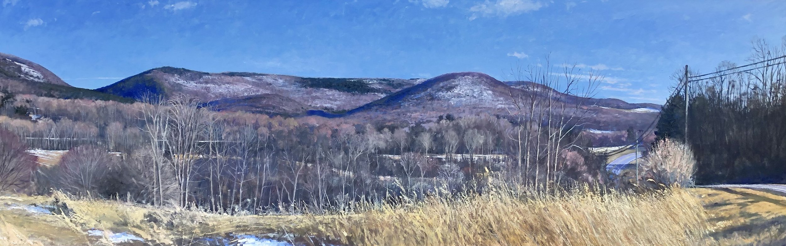 Eric Forstmann
Taconic Encounter, 2021
oil on canvas
20 x 60"