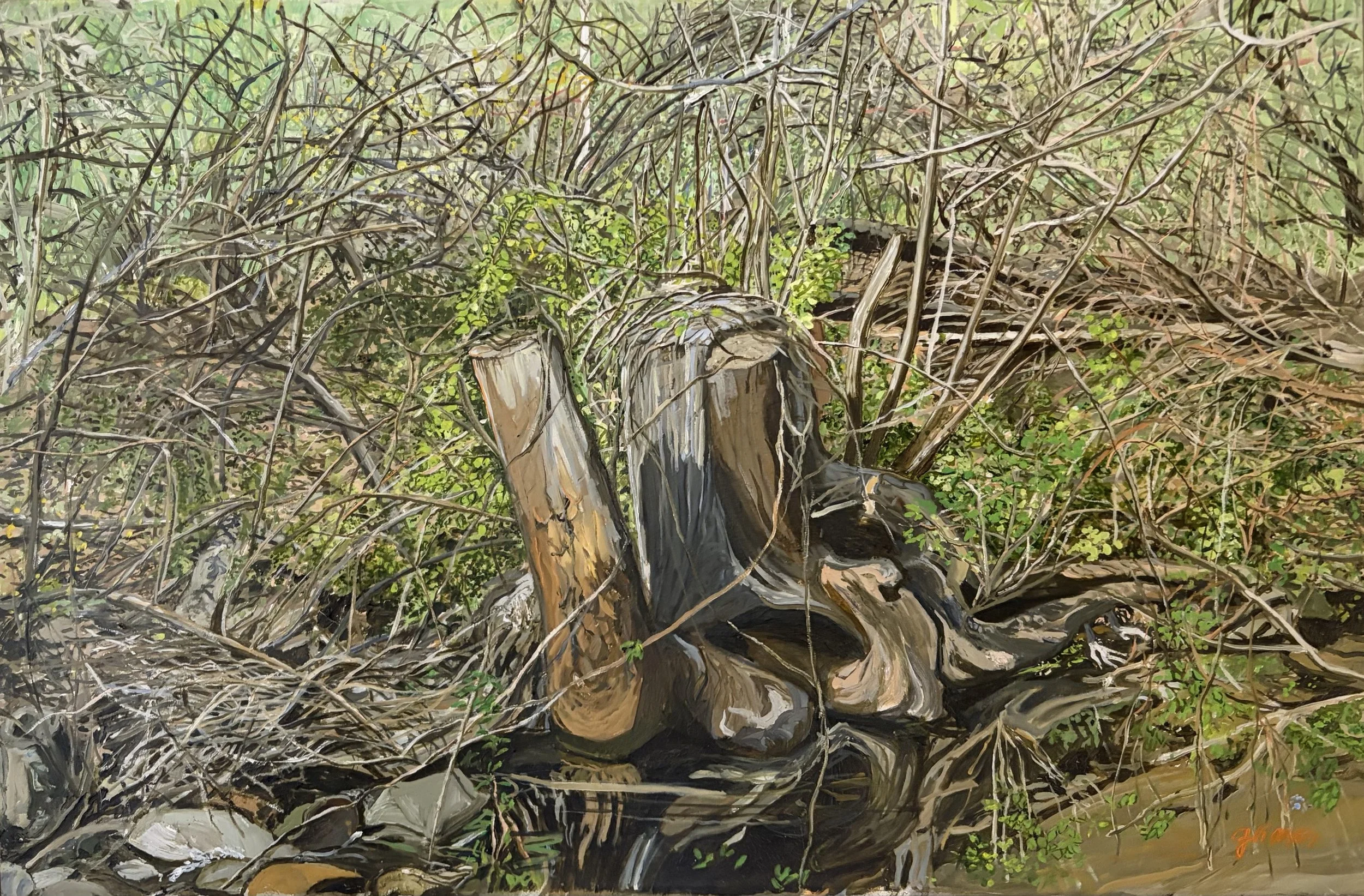 Pond Brook, Early Spring, oil on canvas, 24 x 36 in.