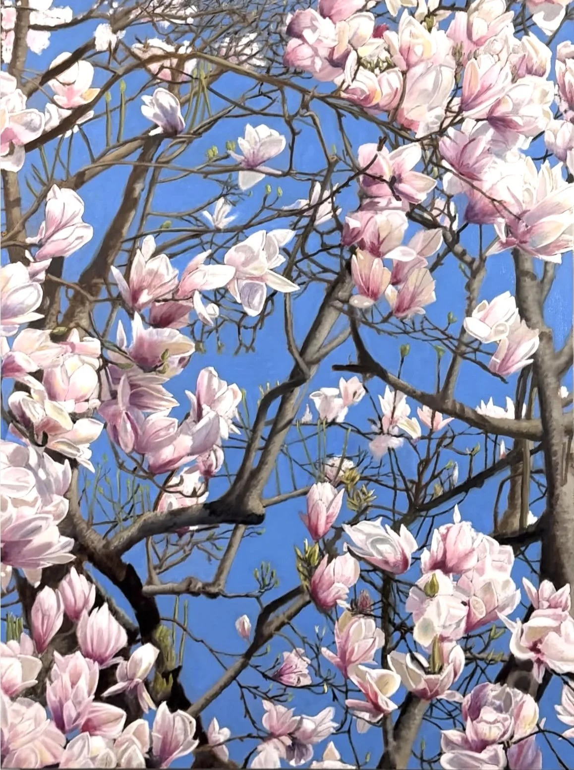 Magnolias, 2026, oil on linen, 40 x 30 in.