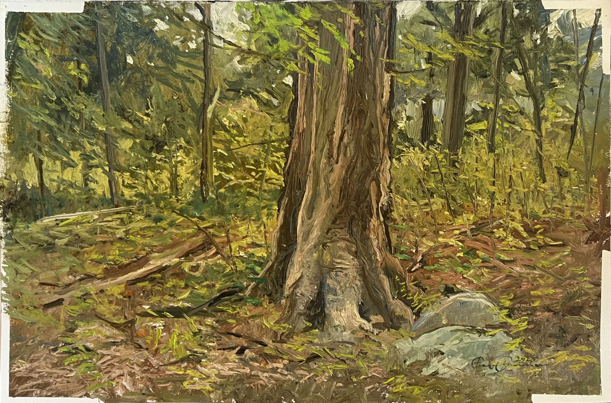 May Wood, 2025, oil on paper, 22 x 15"