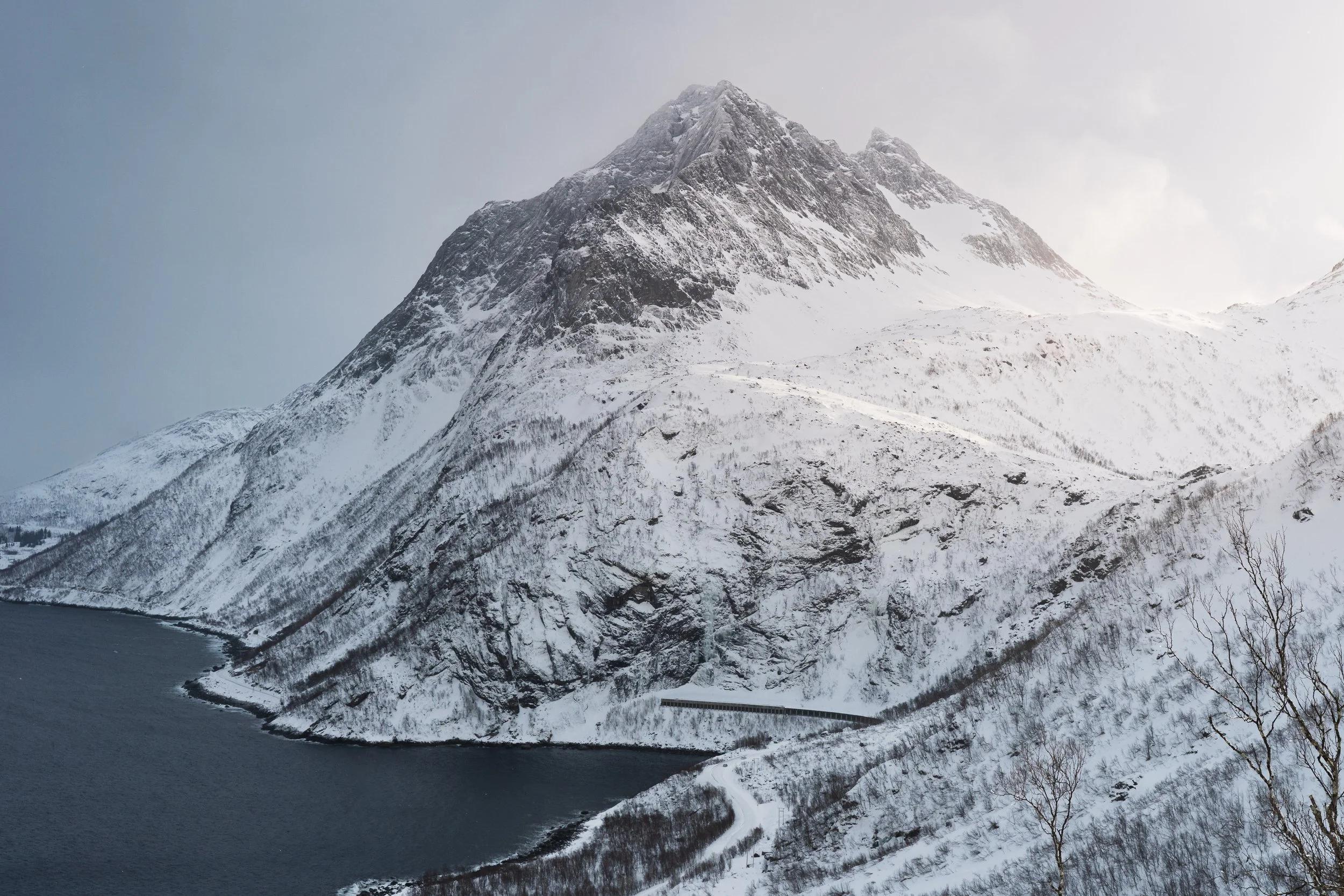 20250319-PhilippKlein-Senja-39.jpg