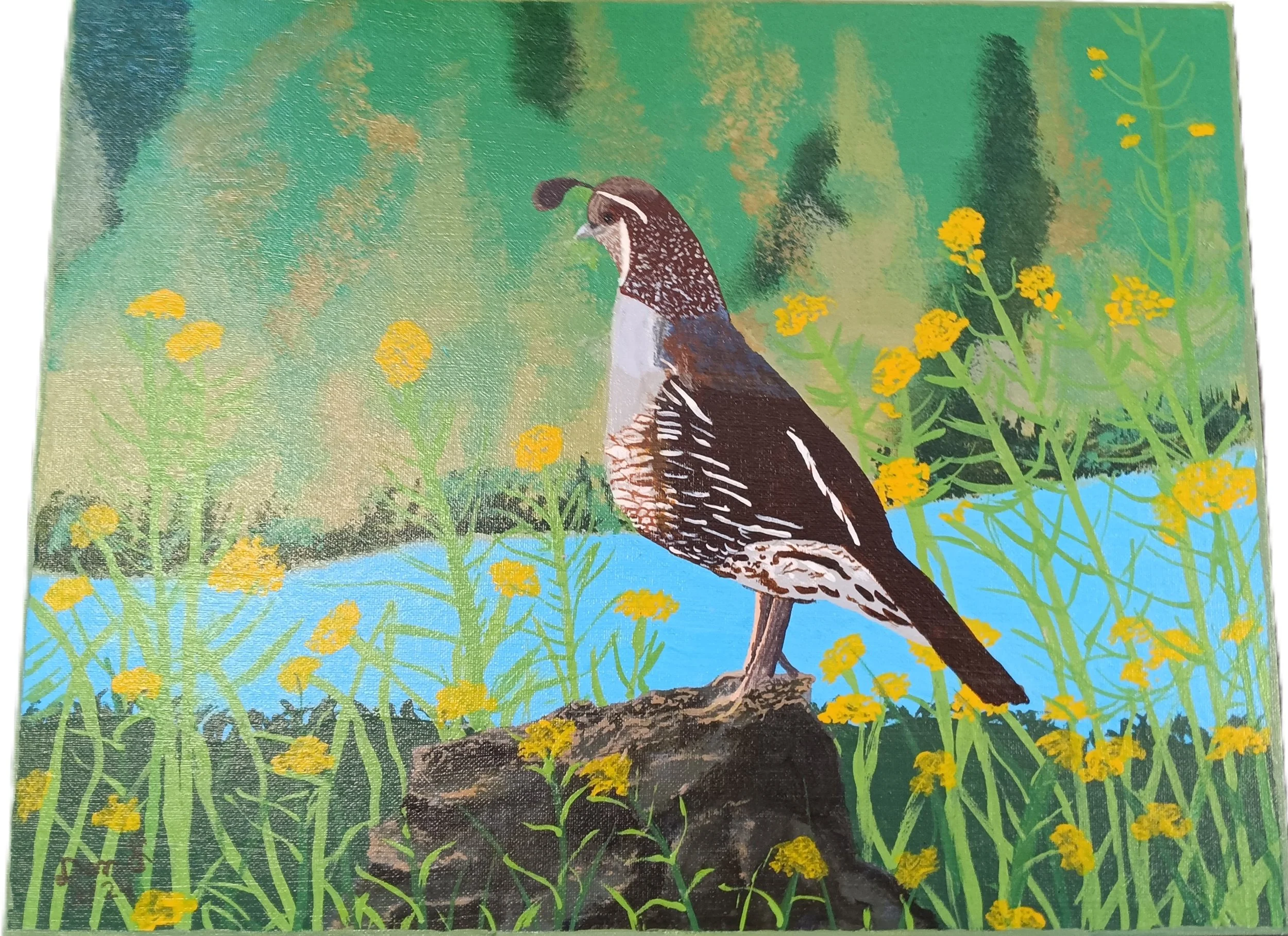 "Quintessential Quail" by Dan Lindenberg