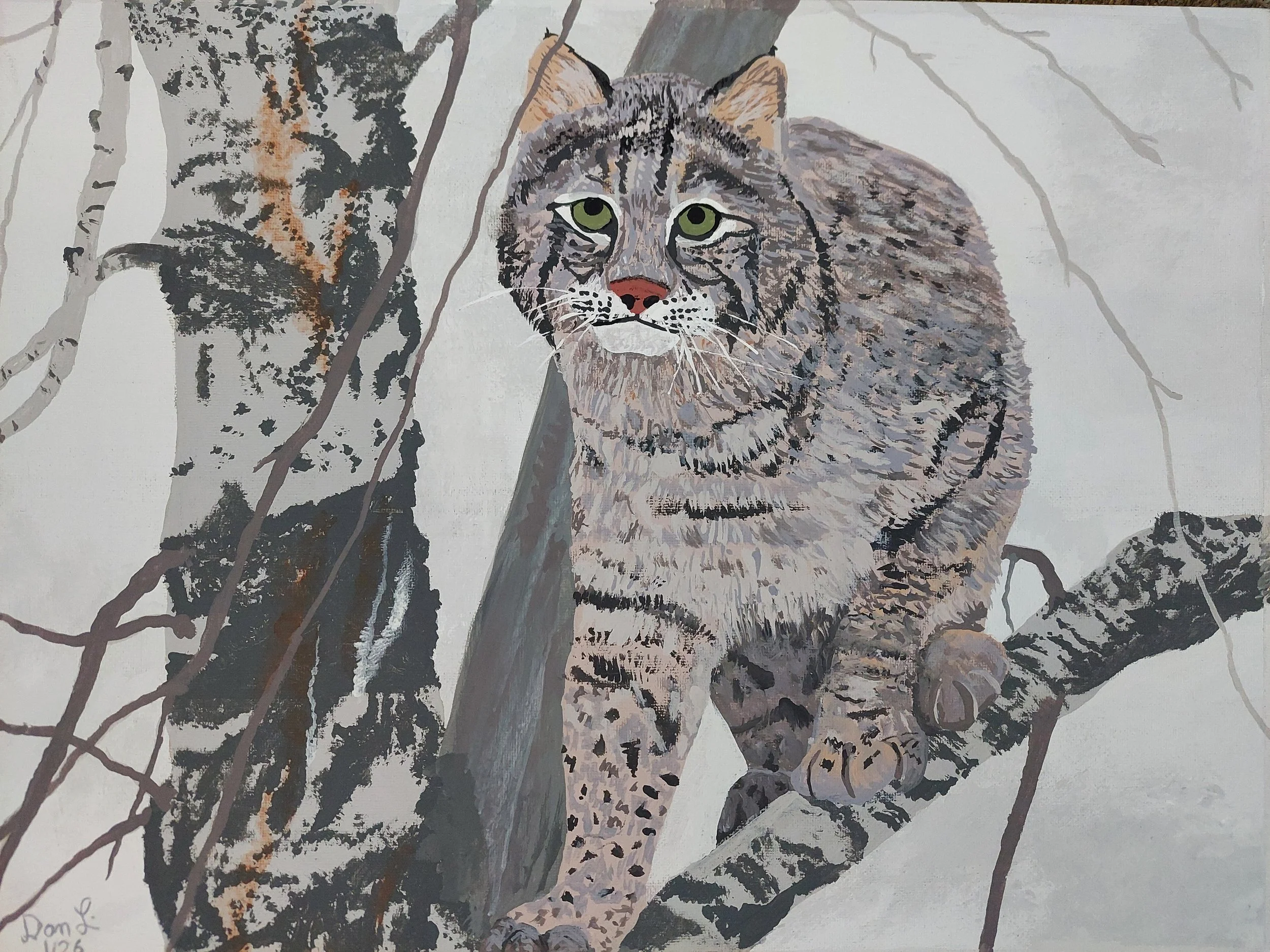 1677-Dan Lindenberg-Bobby the Cat.jpg